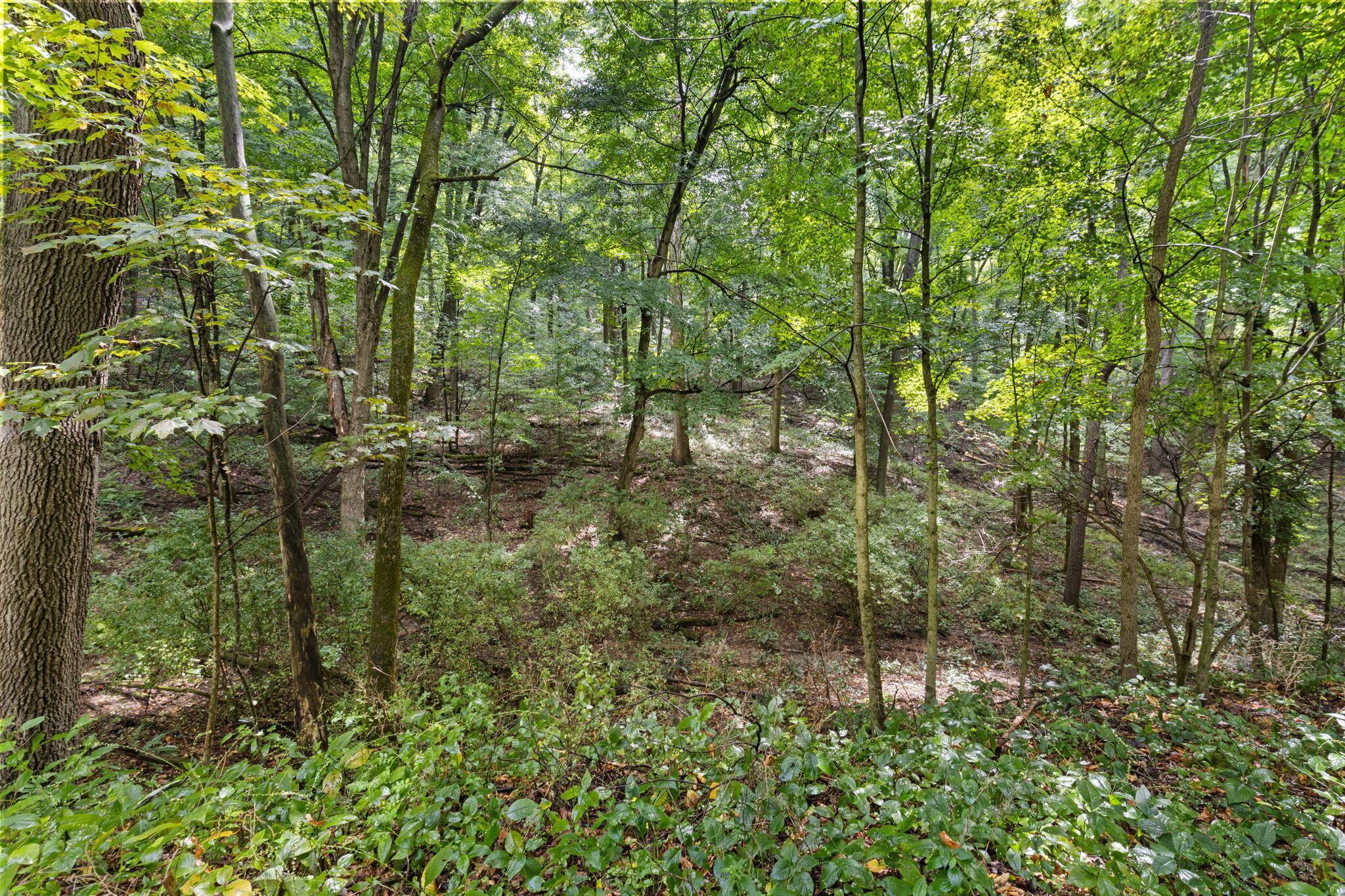 105 Mill Road Property Photo 3