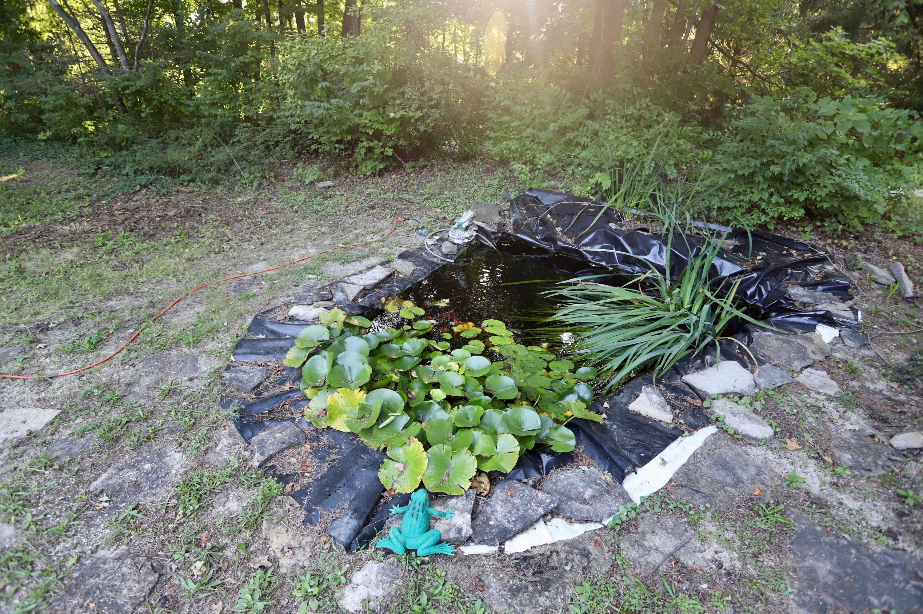 2727 Panhandle Road Property Photo 9