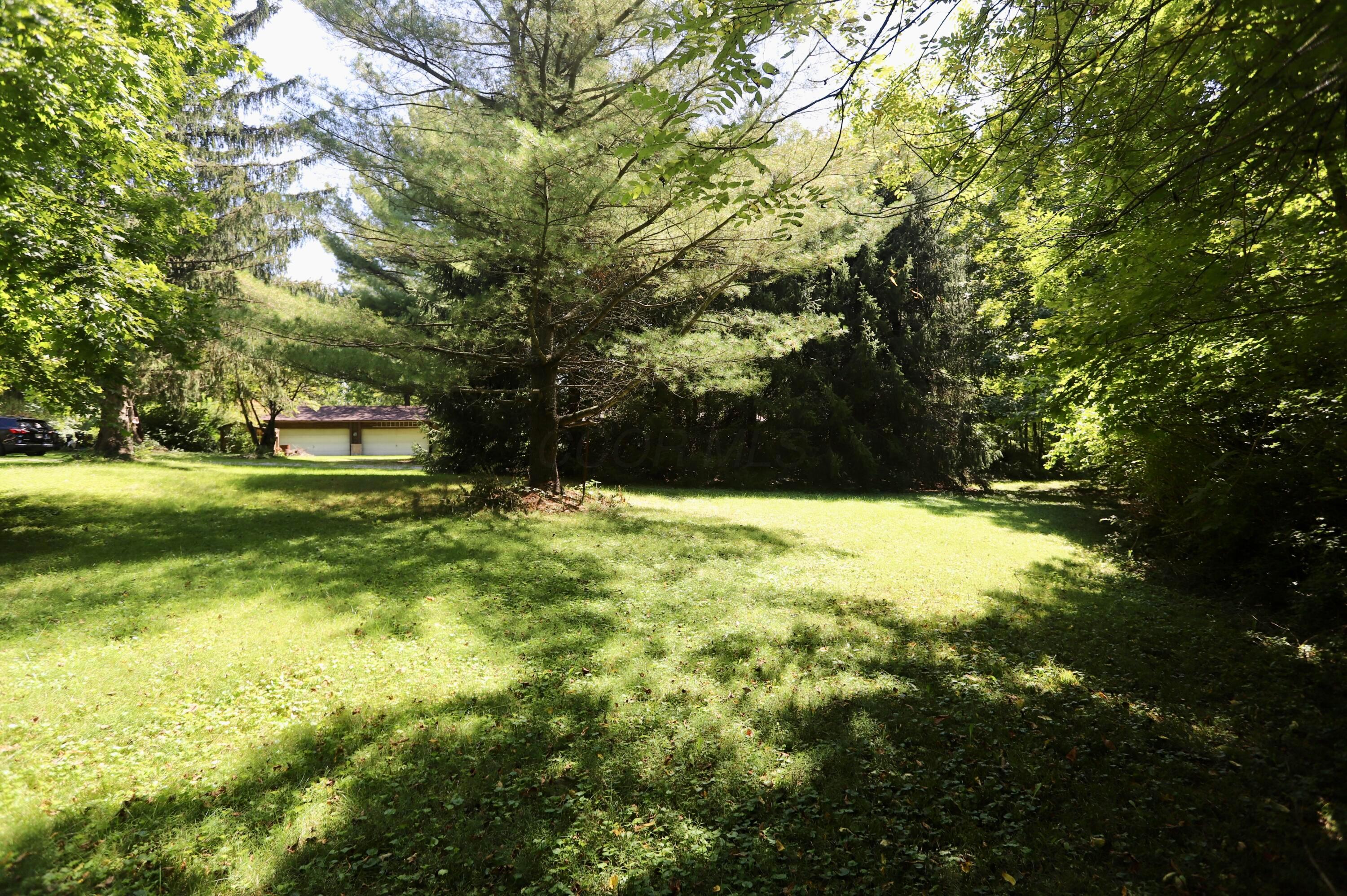 2727 Panhandle Road Property Photo 14