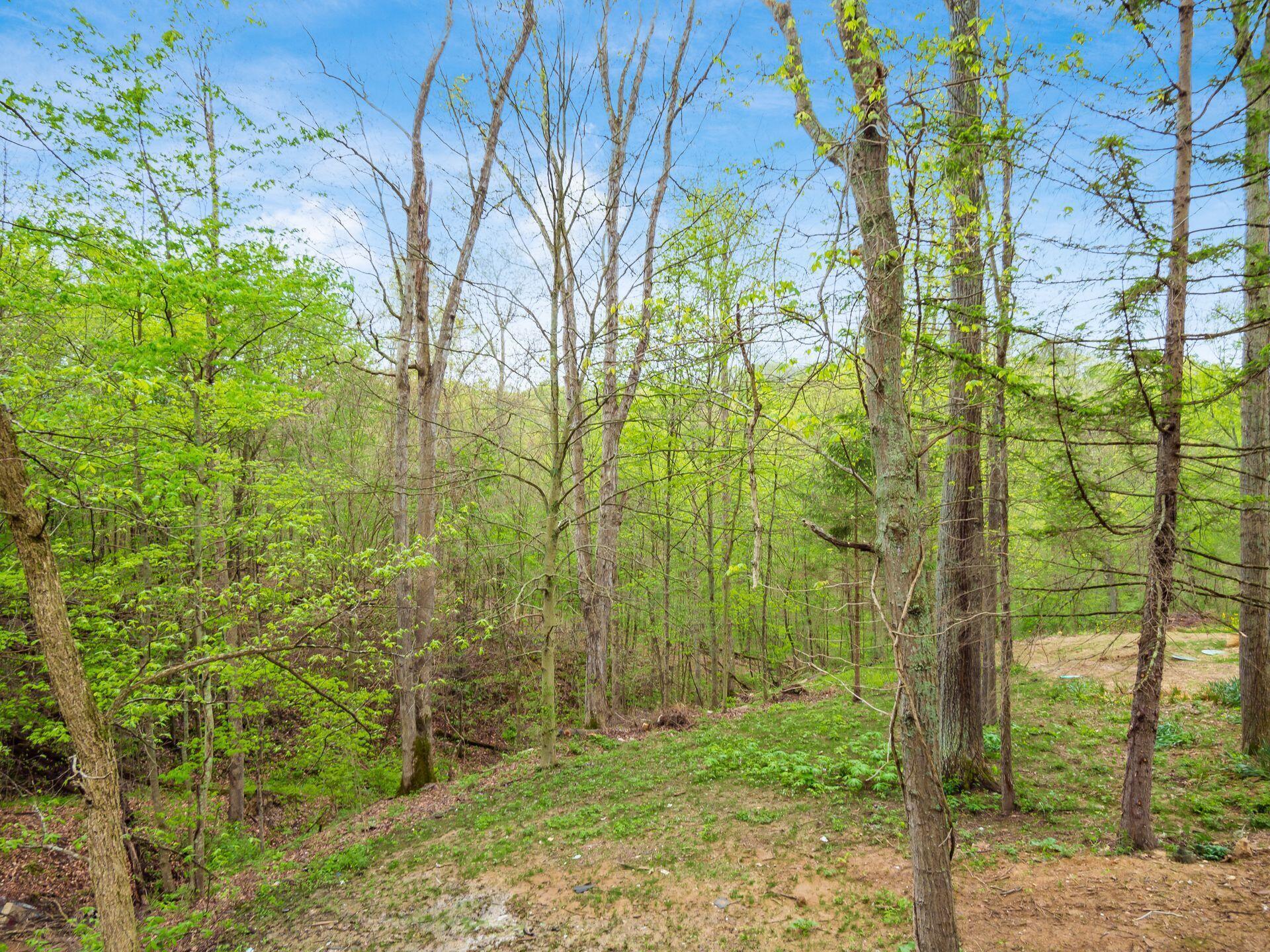 35619 Vickers Road Property Photo 97