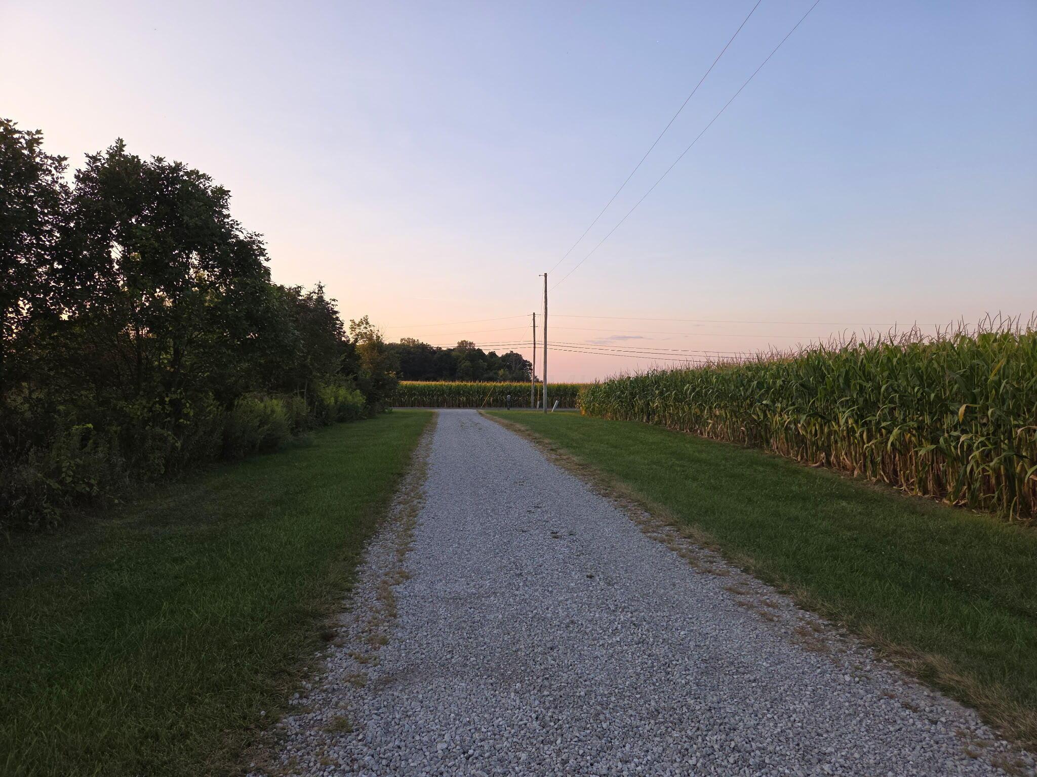 5939 Thompson Road Property Photo 6
