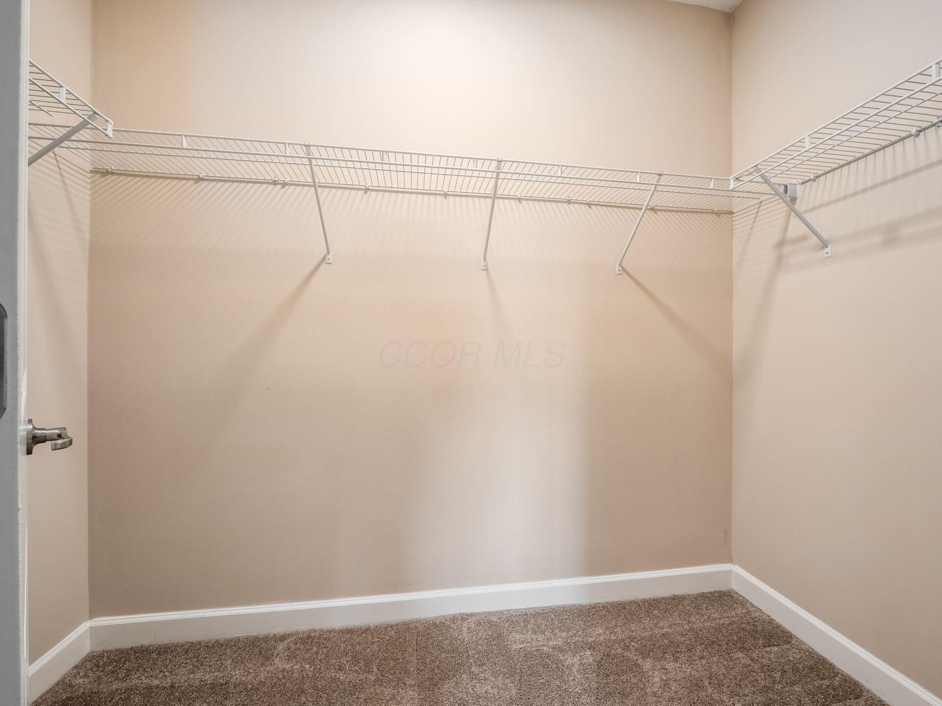 5898 Whitebark Pine Trail Property Photo 16