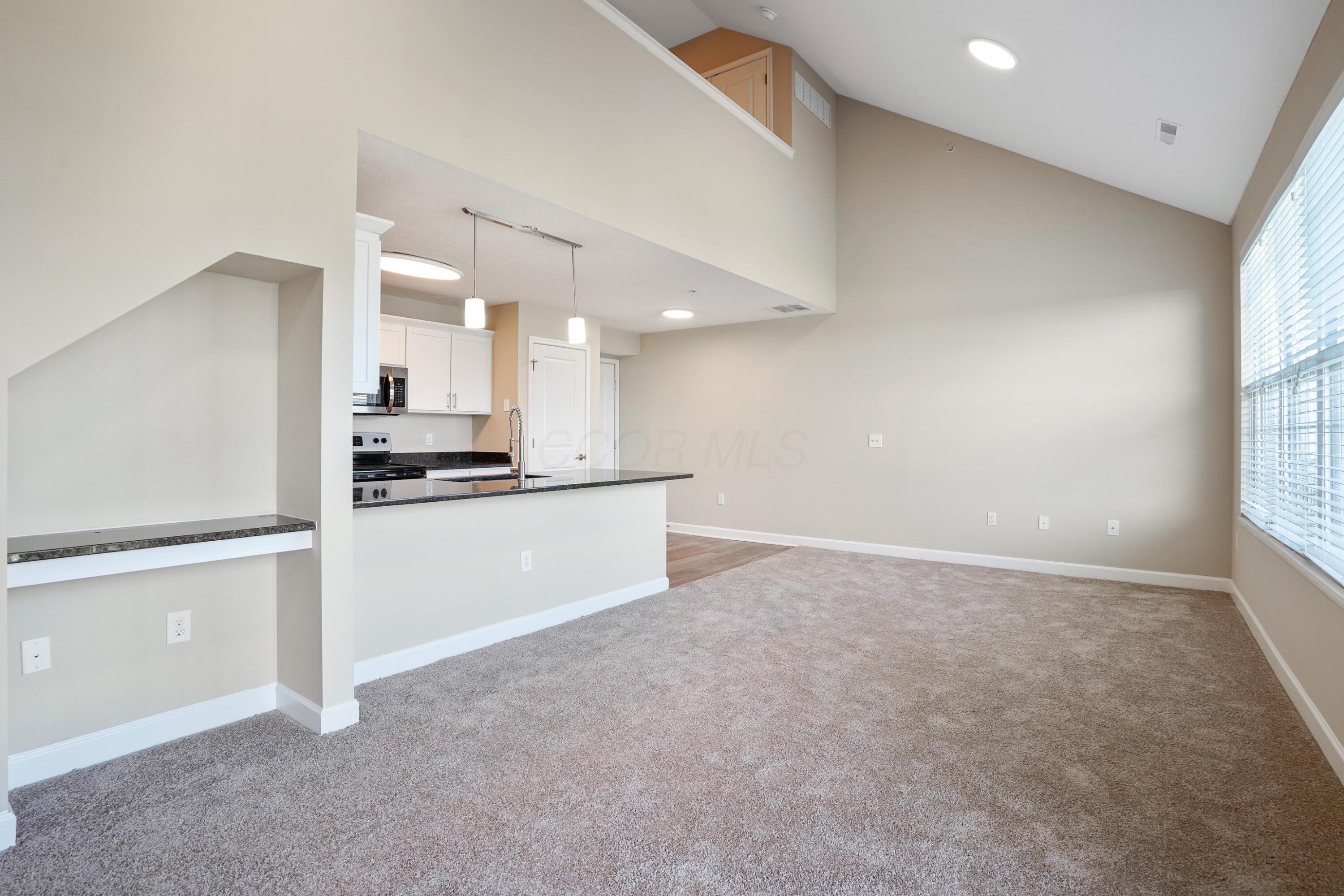 5903 Spruce Forest Drive Property Photo 2
