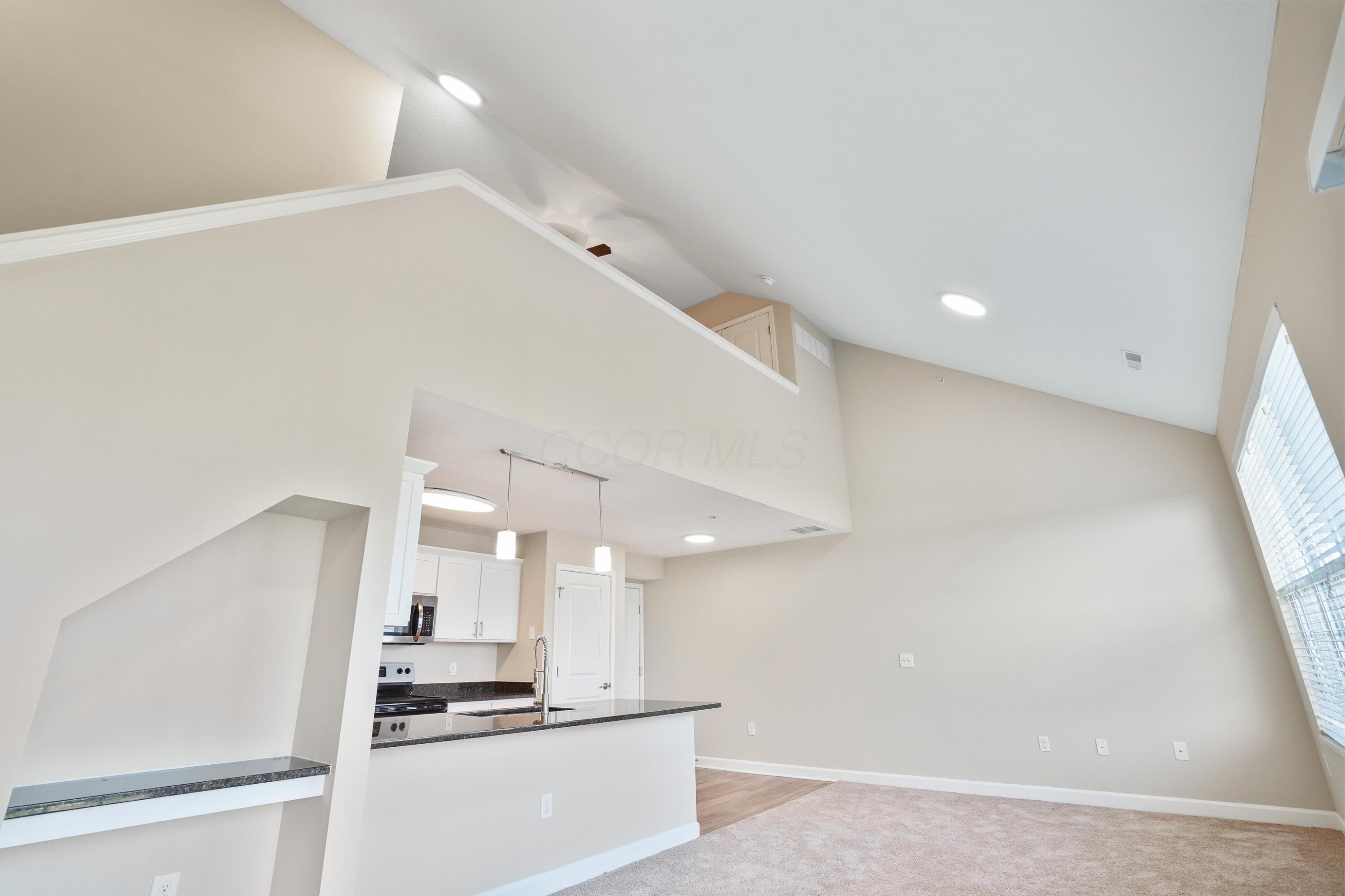5903 Spruce Forest Drive Property Photo 19