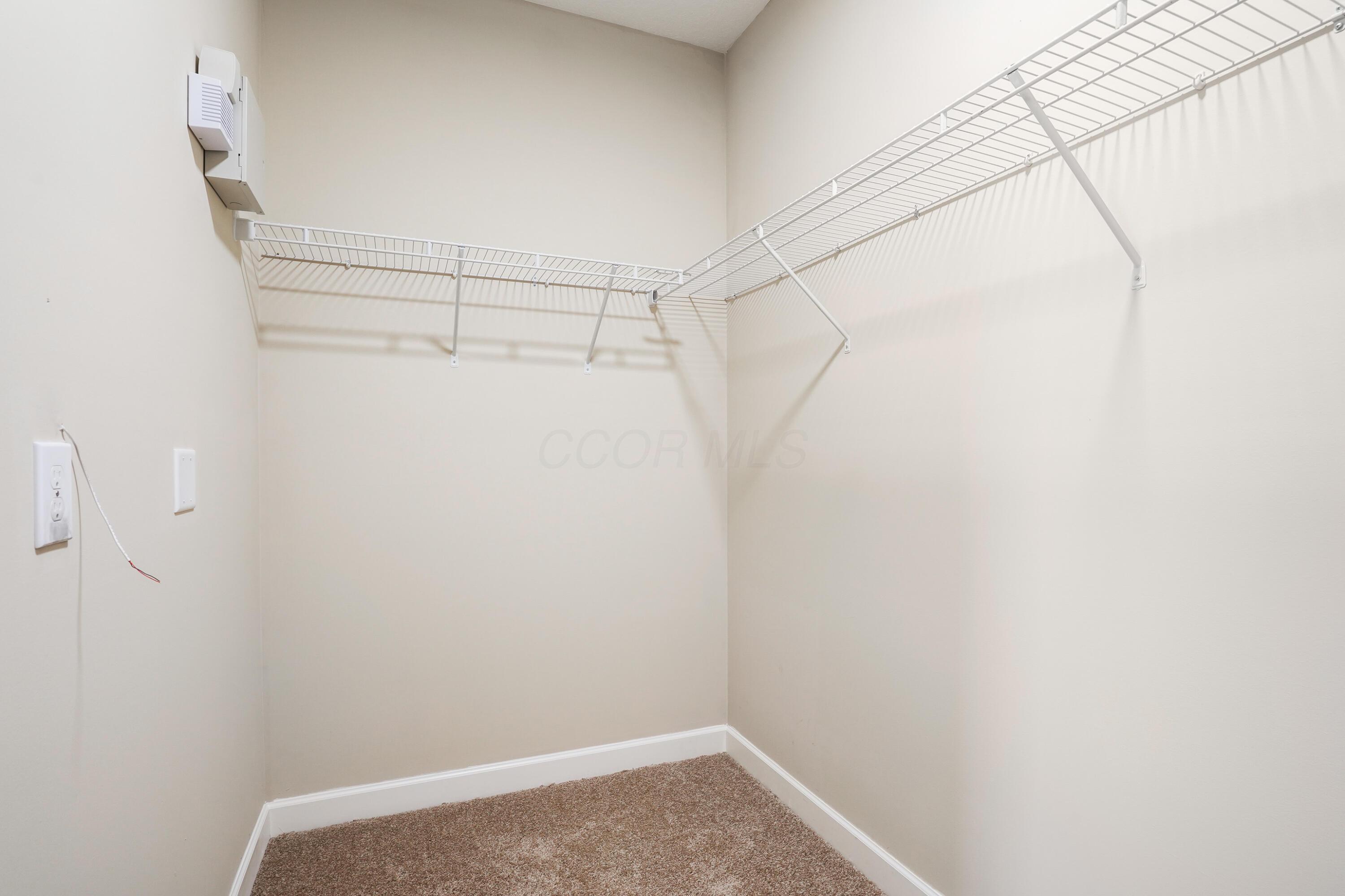 5903 Spruce Forest Drive Property Photo 28