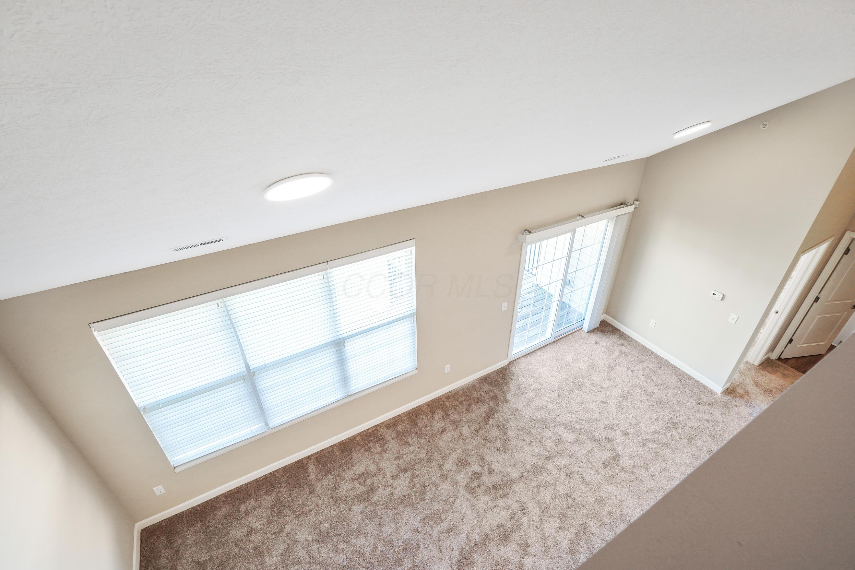 5903 Spruce Forest Drive Property Photo 38