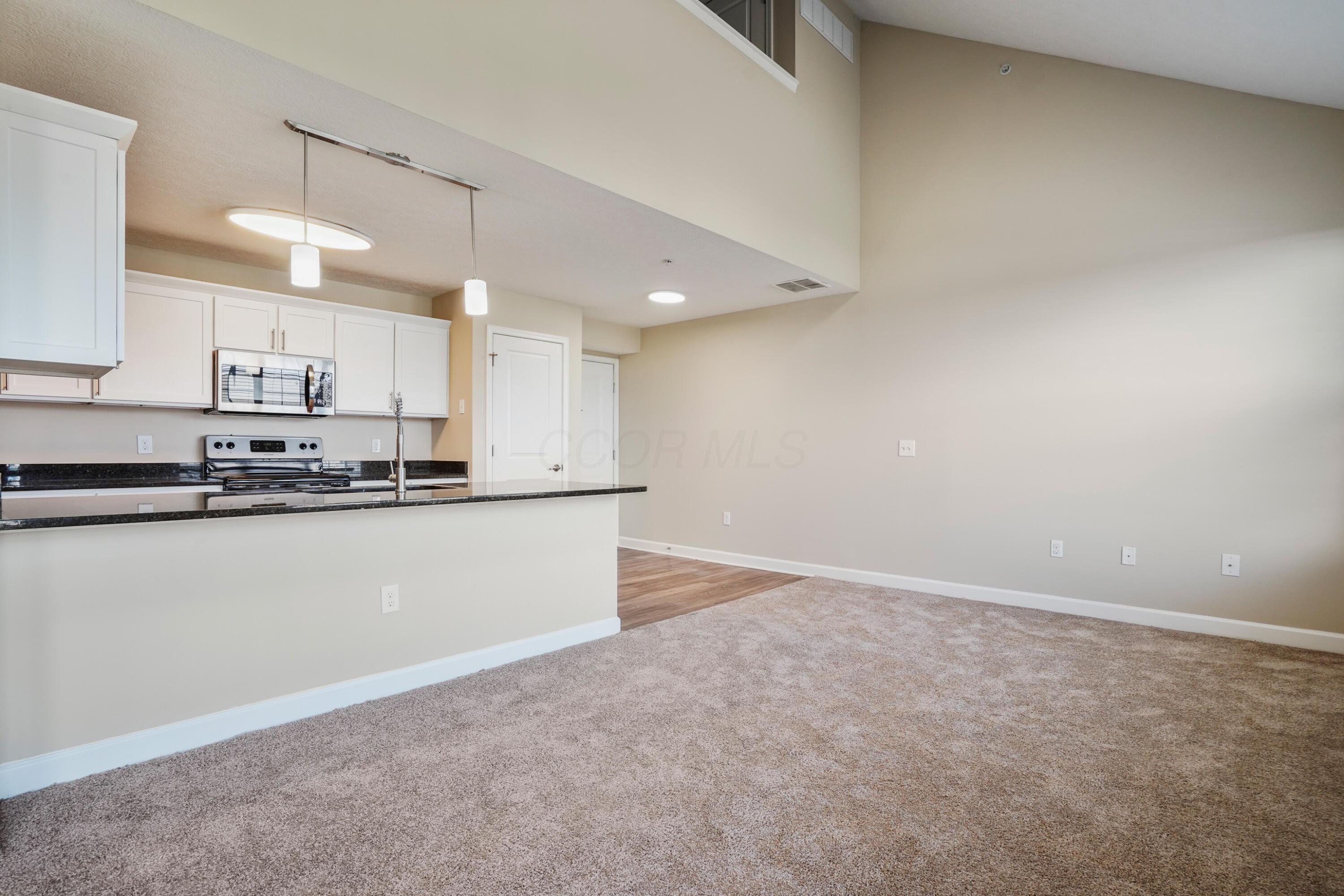 5903 Spruce Forest Drive Property Photo 40