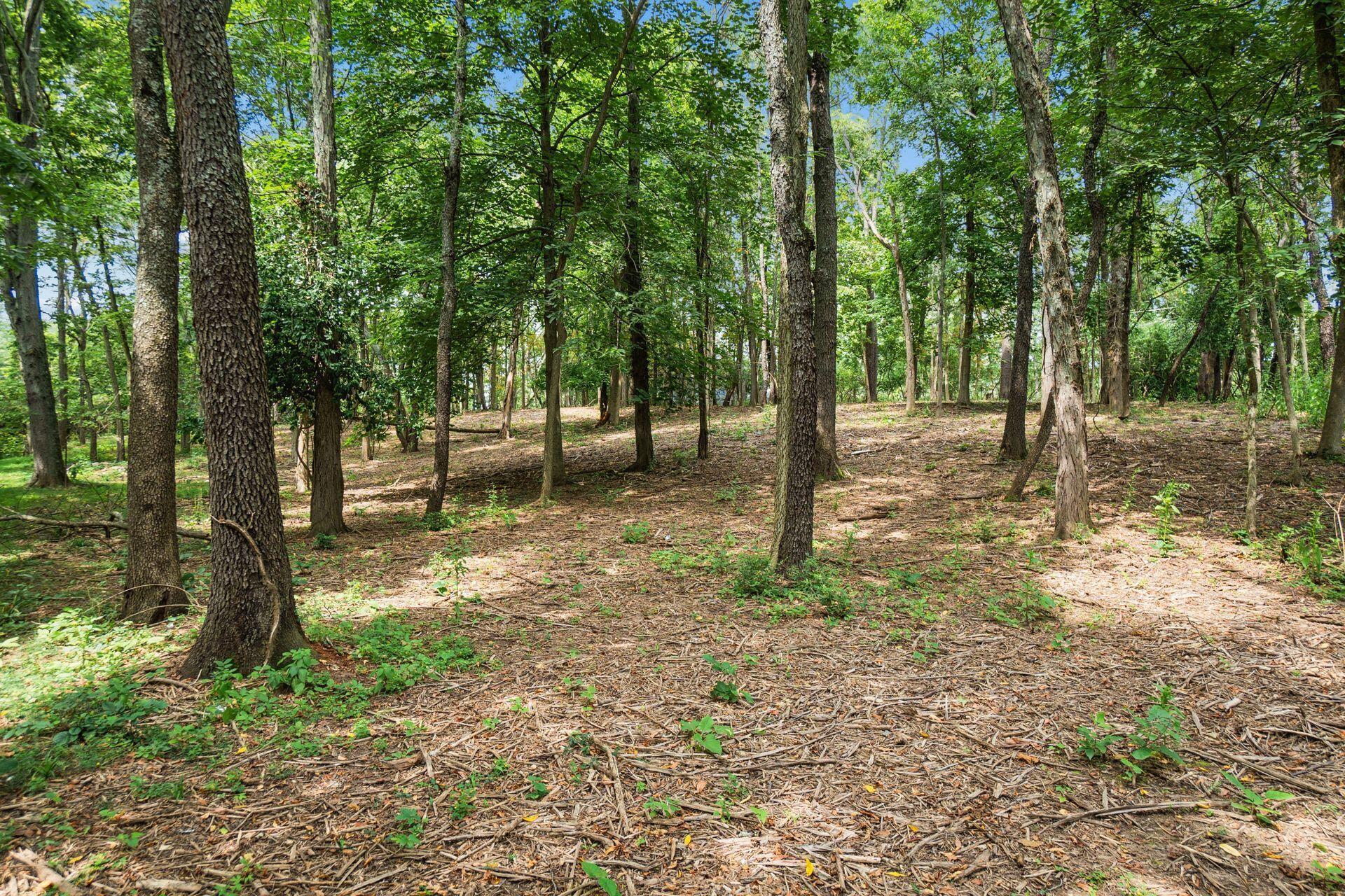 4444 Limerick Lane Property Photo 4