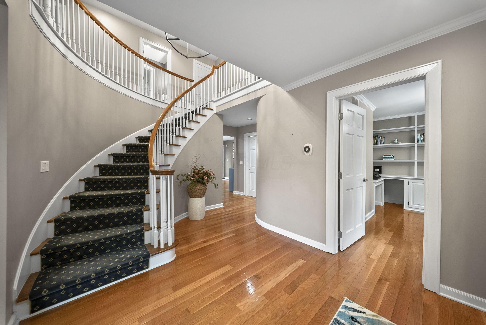 8117 Linden Leaf Circle Property Photo 7