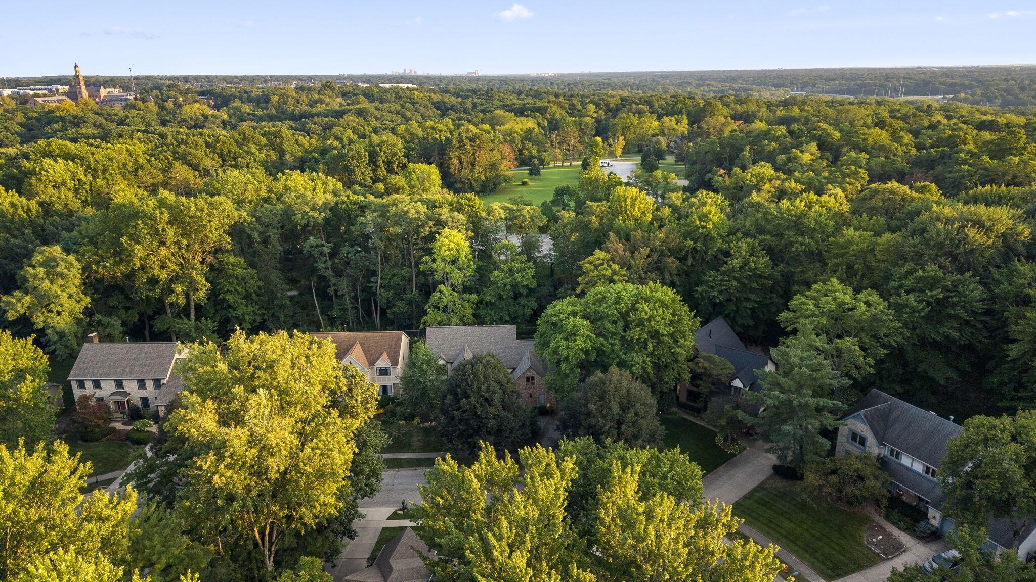 8117 Linden Leaf Circle Property Photo 83