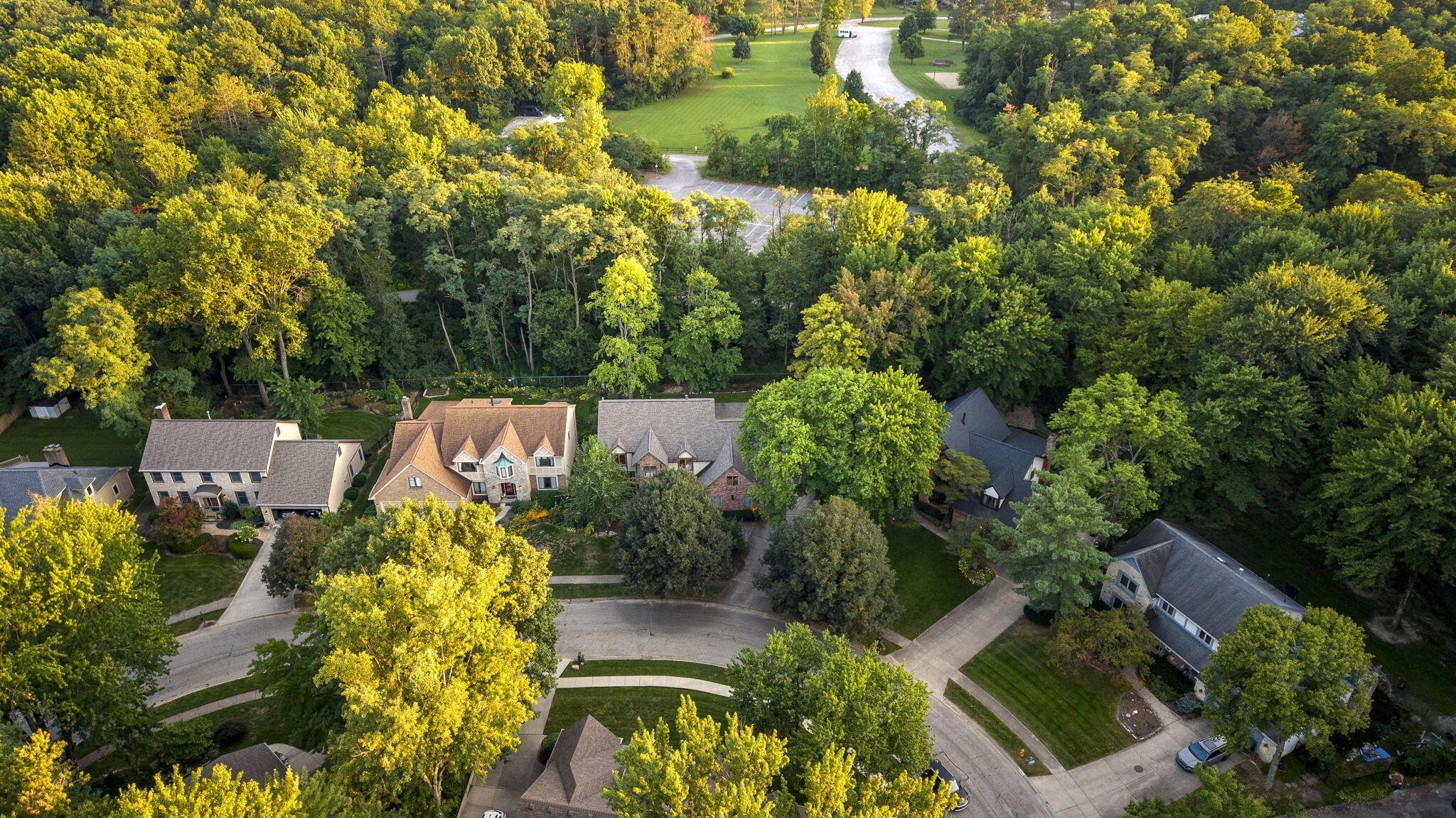8117 Linden Leaf Circle Property Photo 86