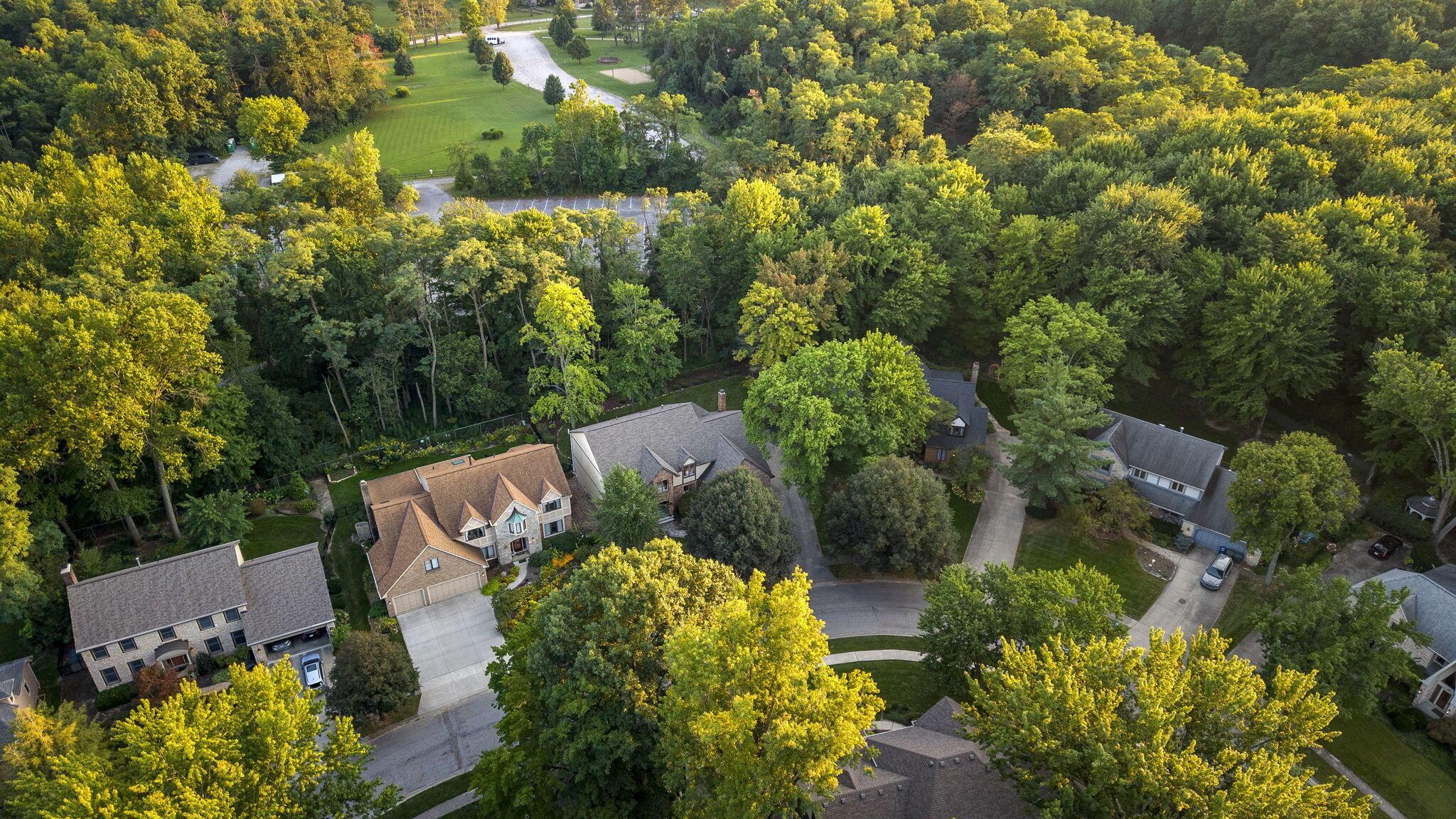 8117 Linden Leaf Circle Property Photo 87