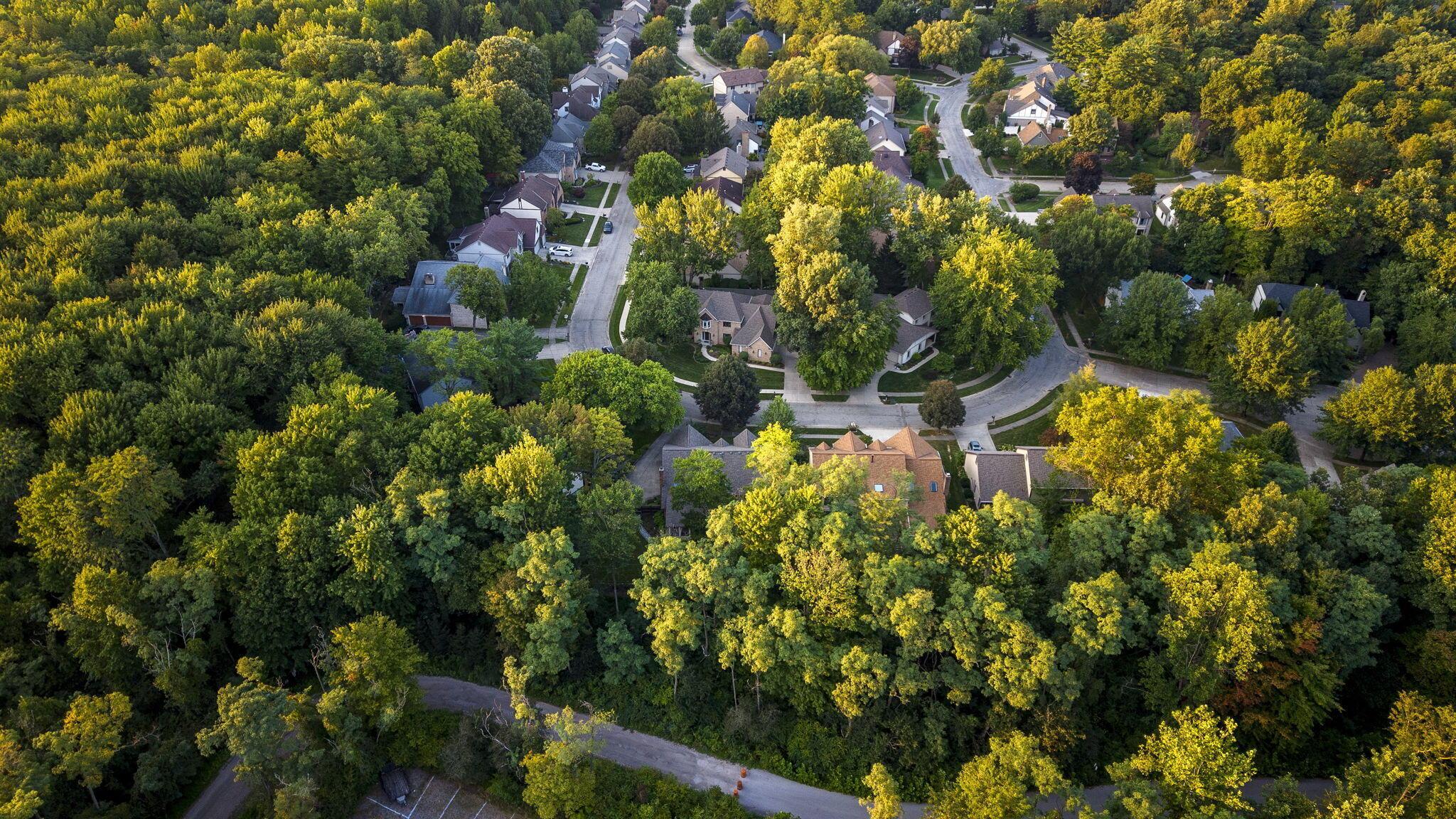 8117 Linden Leaf Circle Property Photo 88