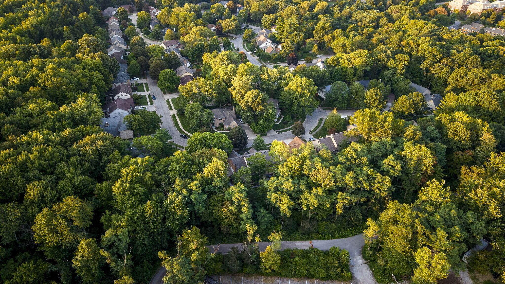 8117 Linden Leaf Circle Property Photo 89