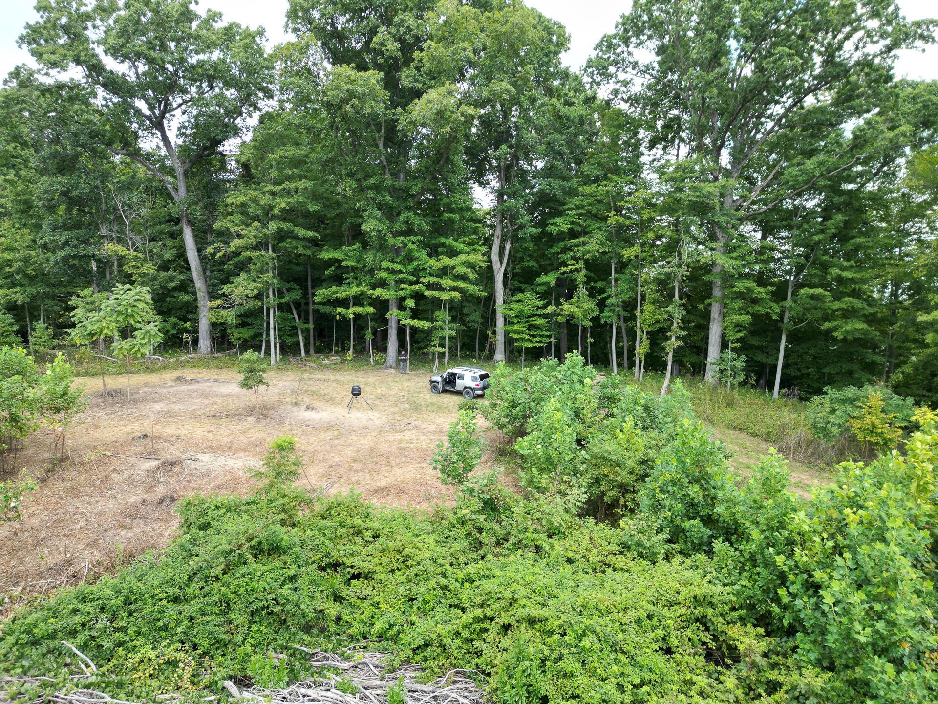 9957 County Road 5, (tract 1 At Elkins Creek) Property Photo 7
