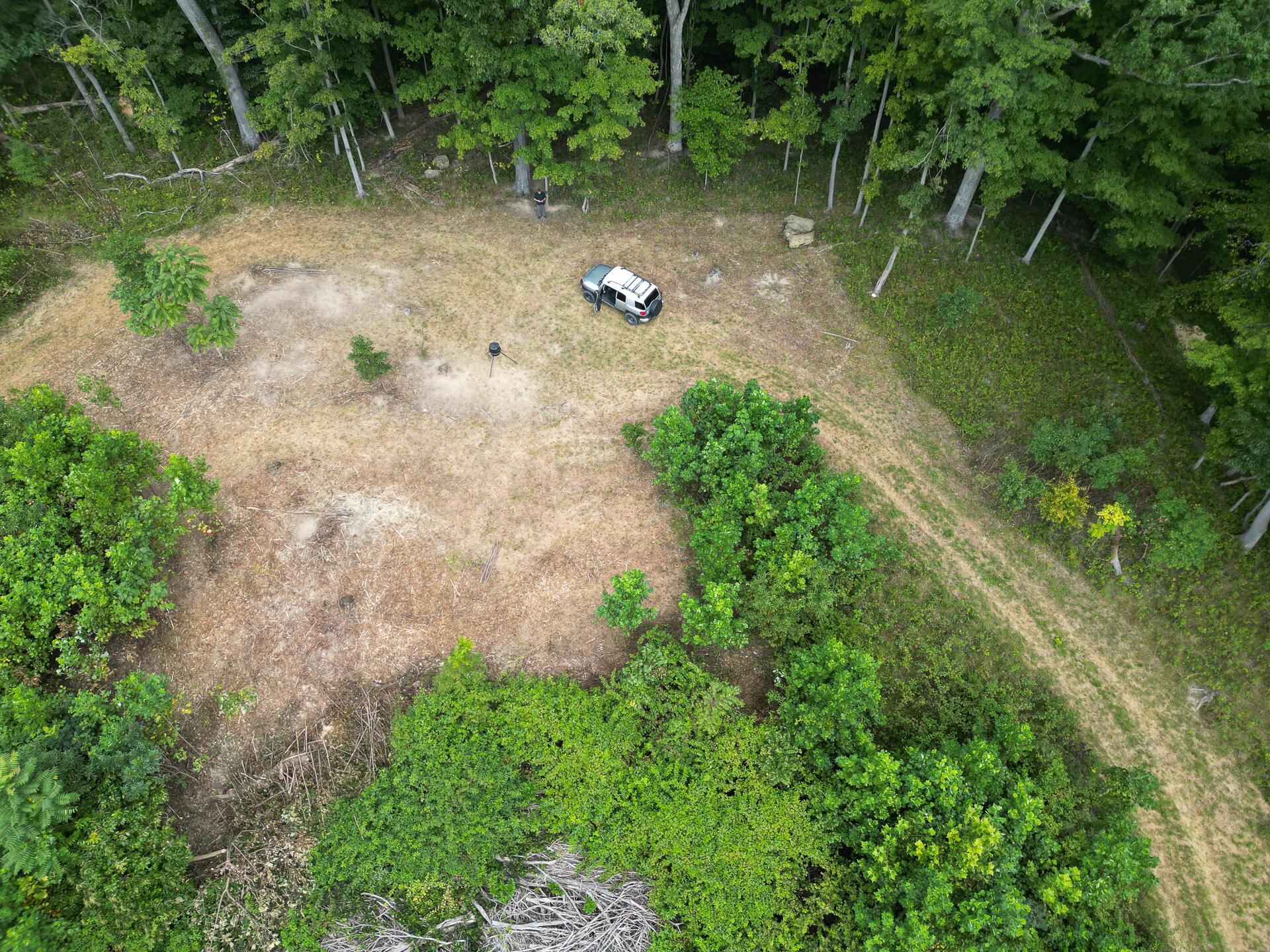 9957 County Road 5, (tract 1 At Elkins Creek) Property Photo 8