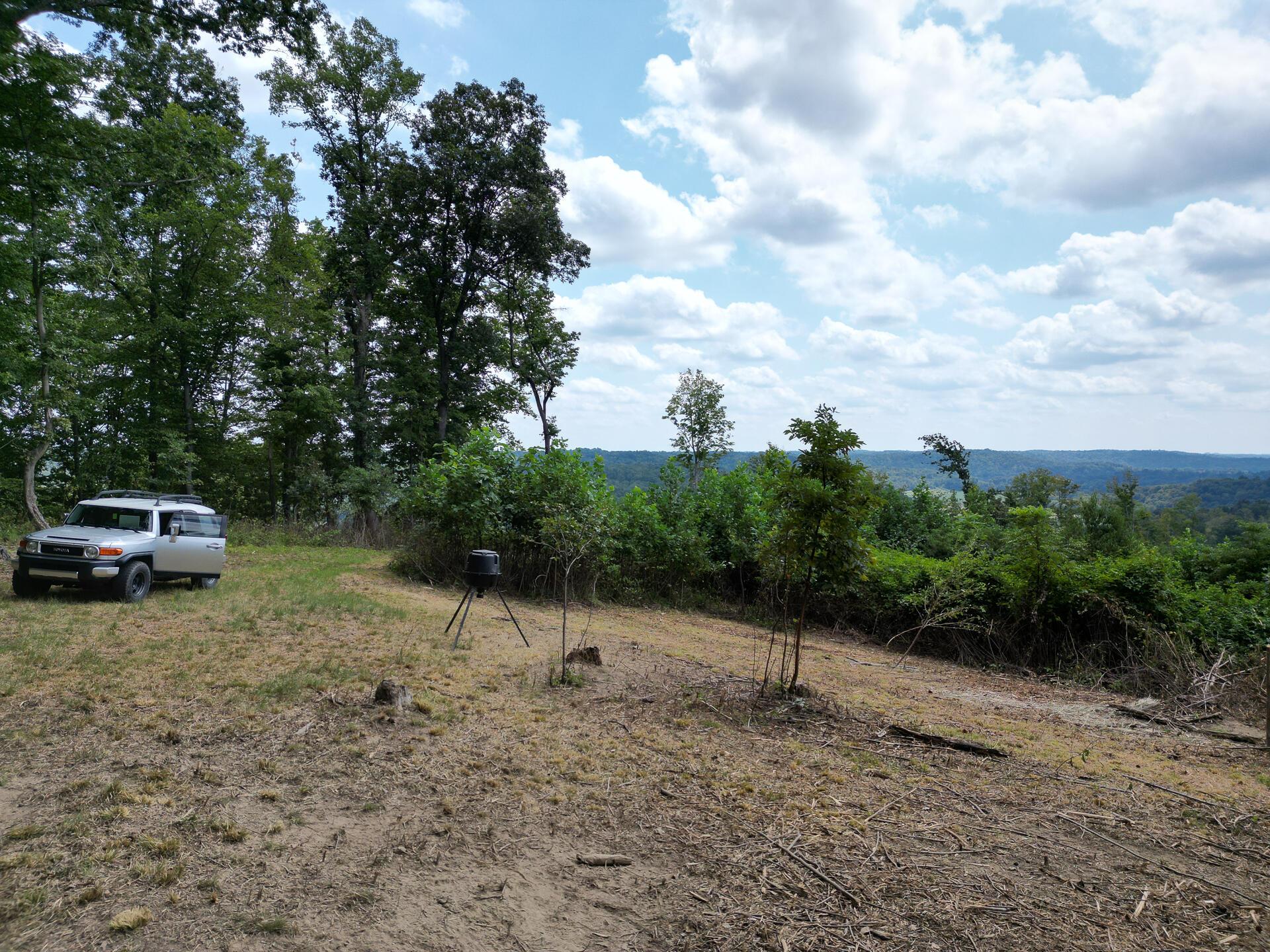 9957 County Road 5, (tract 1 At Elkins Creek) Property Photo 9
