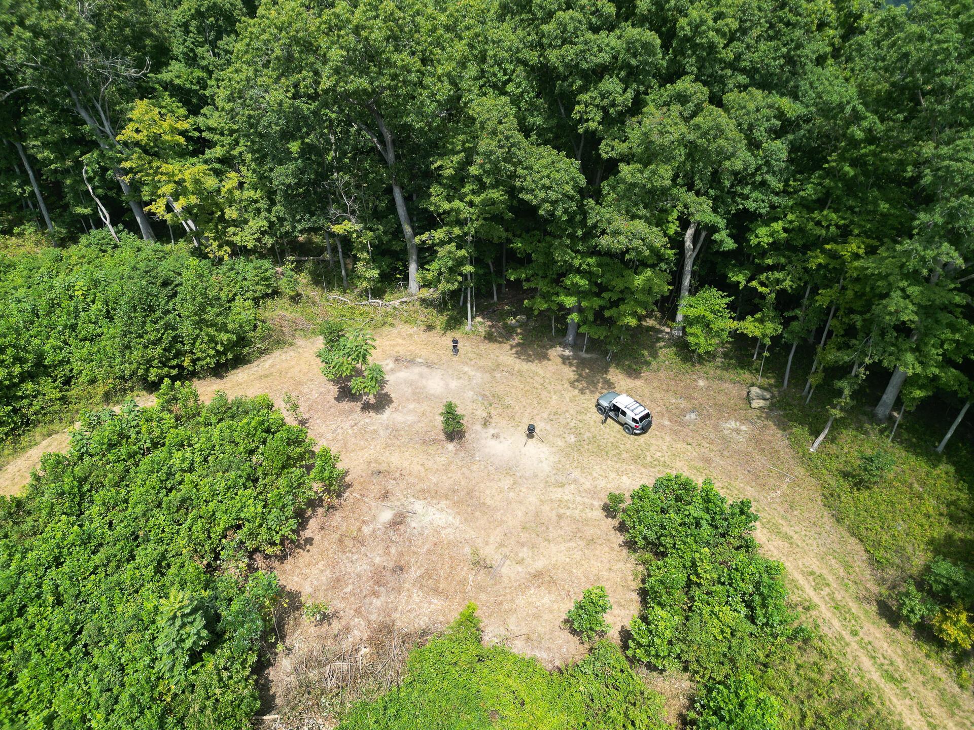 9957 County Road 5, (tract 1 At Elkins Creek) Property Photo 11