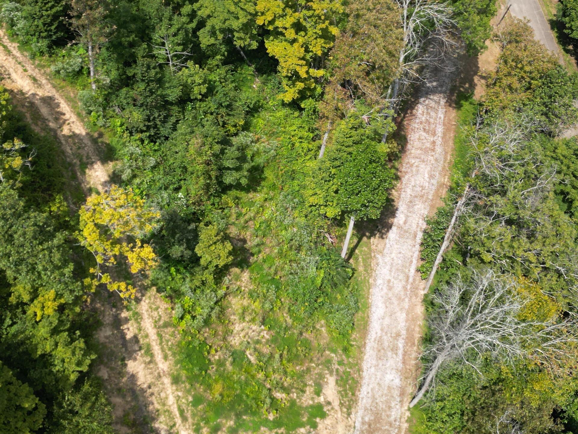 9957 County Road 5, (tract 1 At Elkins Creek) Property Photo 20