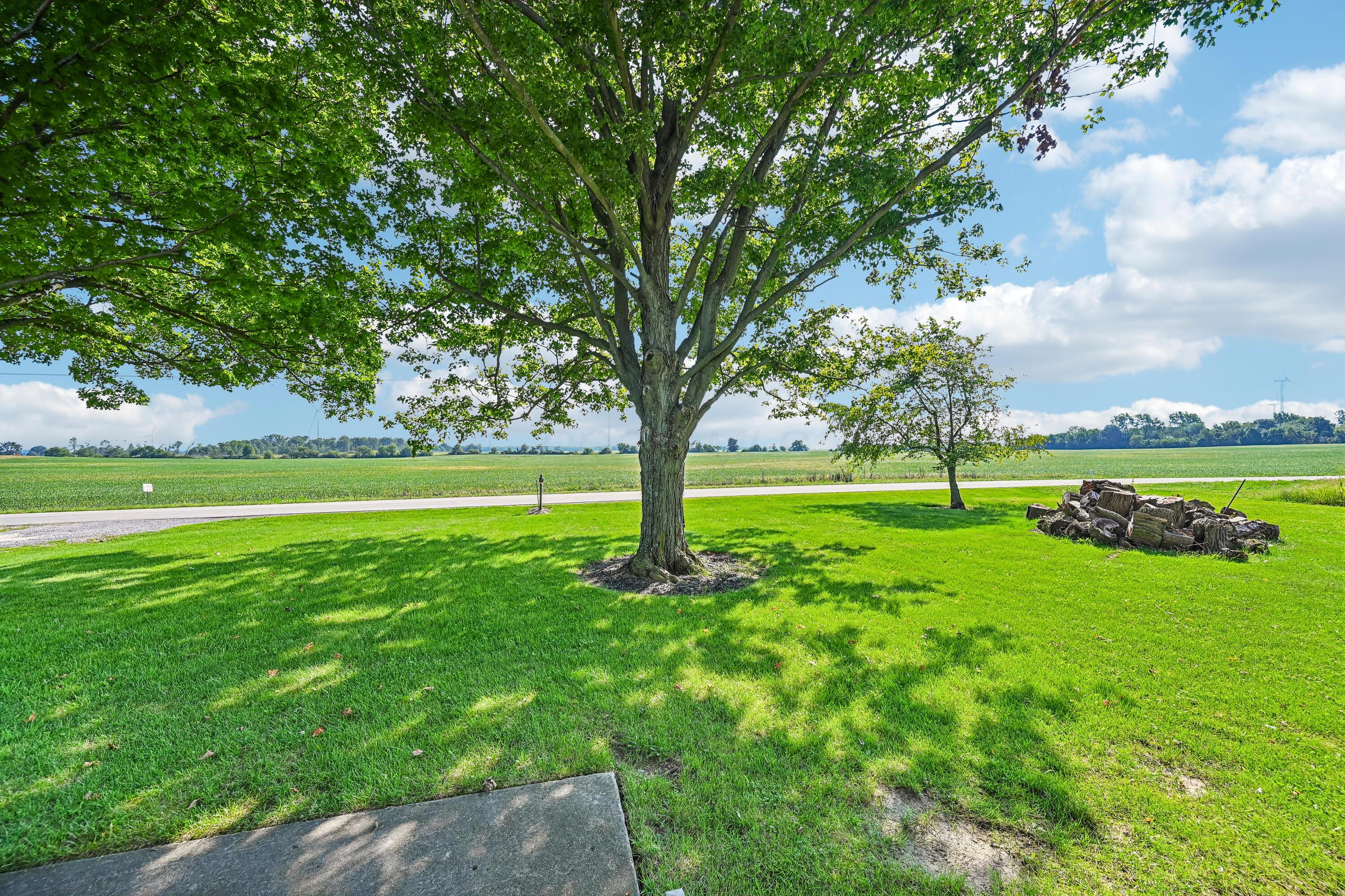 18021 County Road 75 Property Photo 4