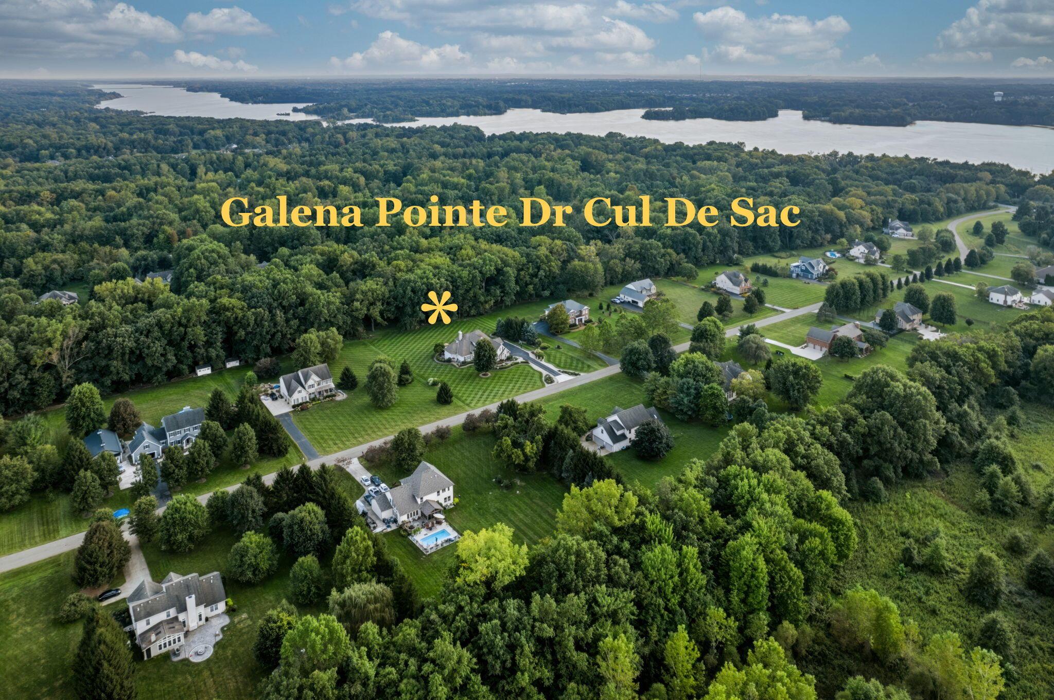 10092 Galena Pointe Drive Property Photo 30