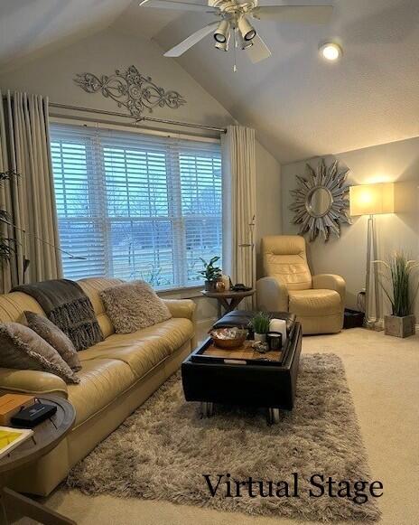 10092 Galena Pointe Drive Property Photo 81