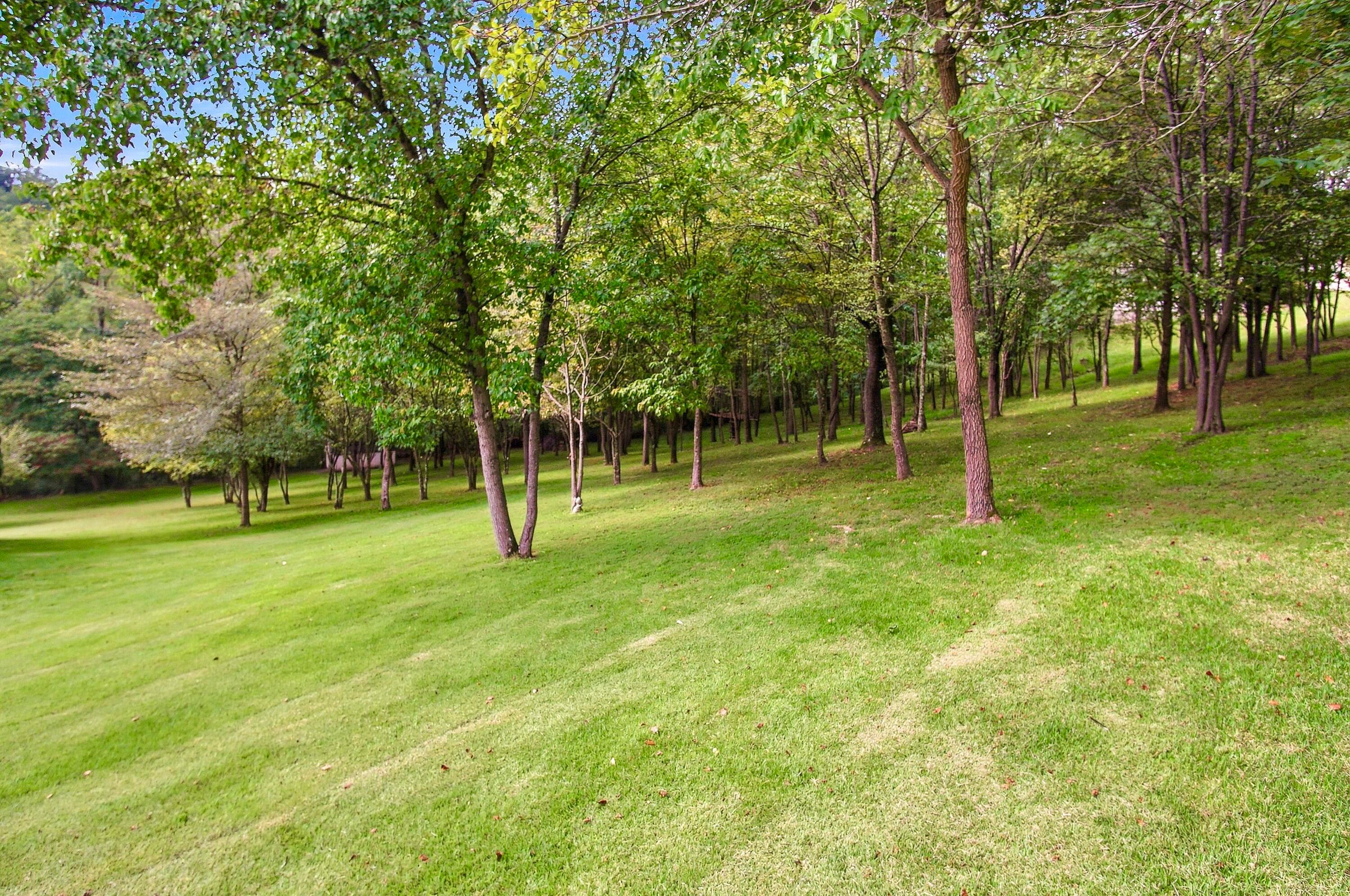 6720 Layman Drive Property Photo 12