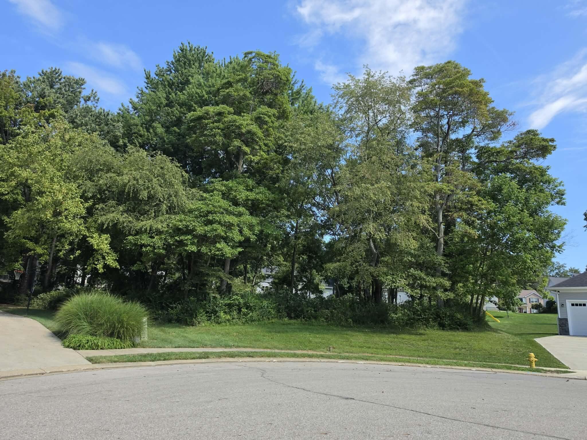 1347 Cherry Bark Court Property Photo 1