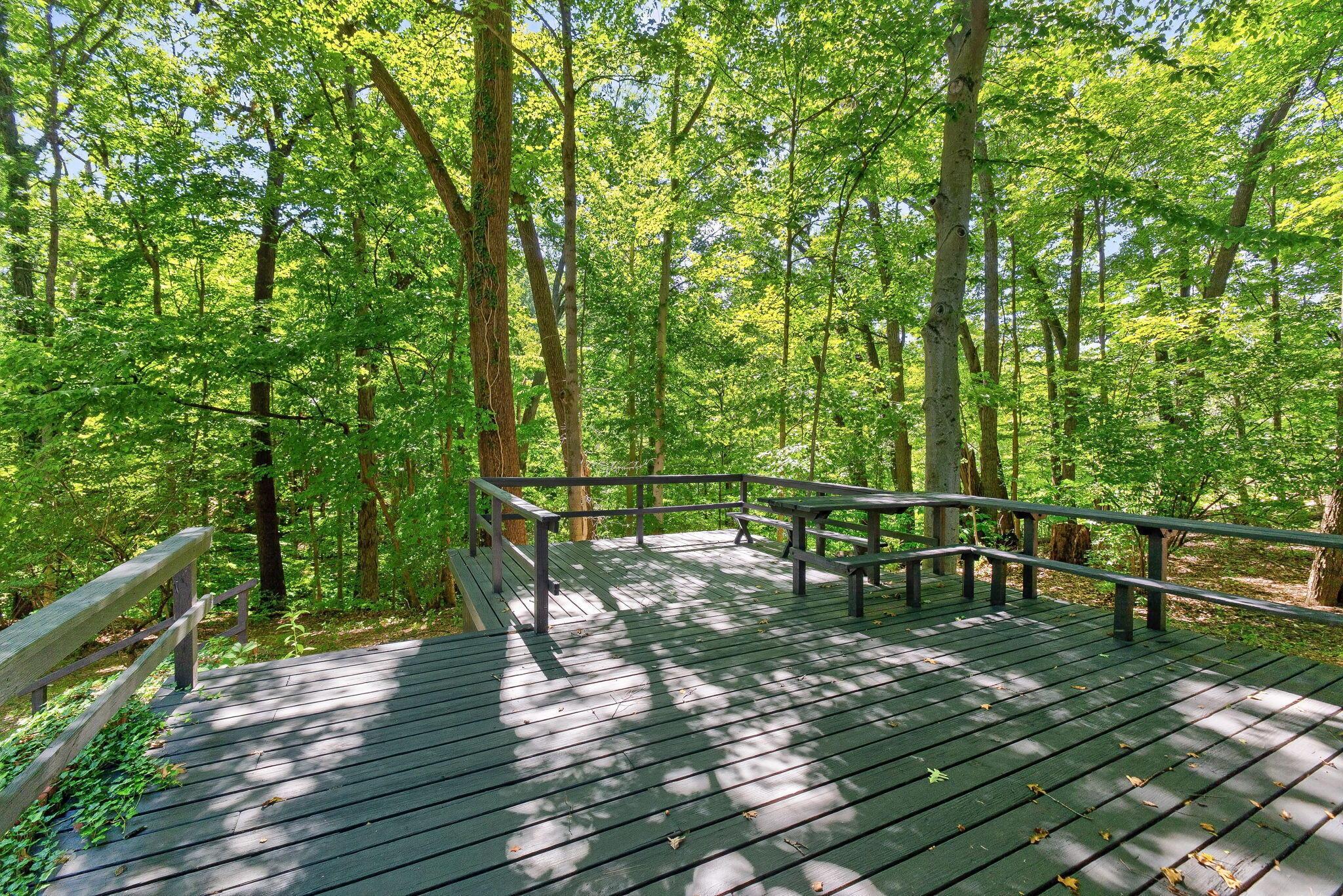 4445 Central College Road Property Photo 57