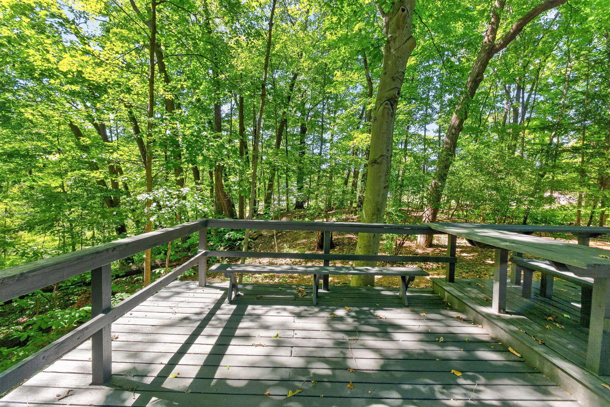 4445 Central College Road Property Photo 59