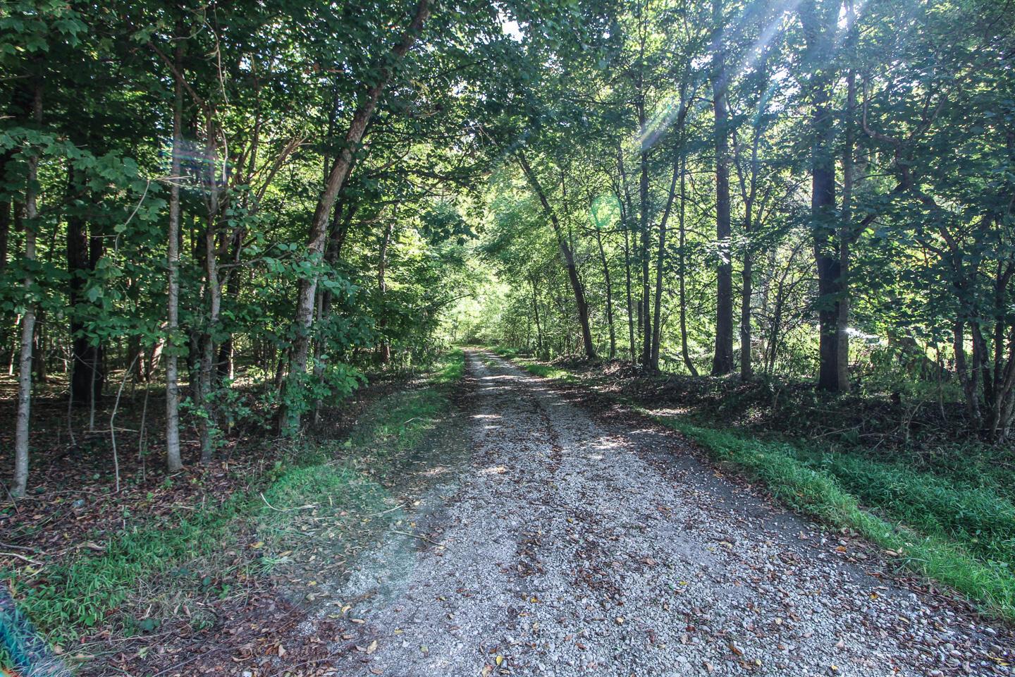 62319 Glencoe Road Property Photo 7