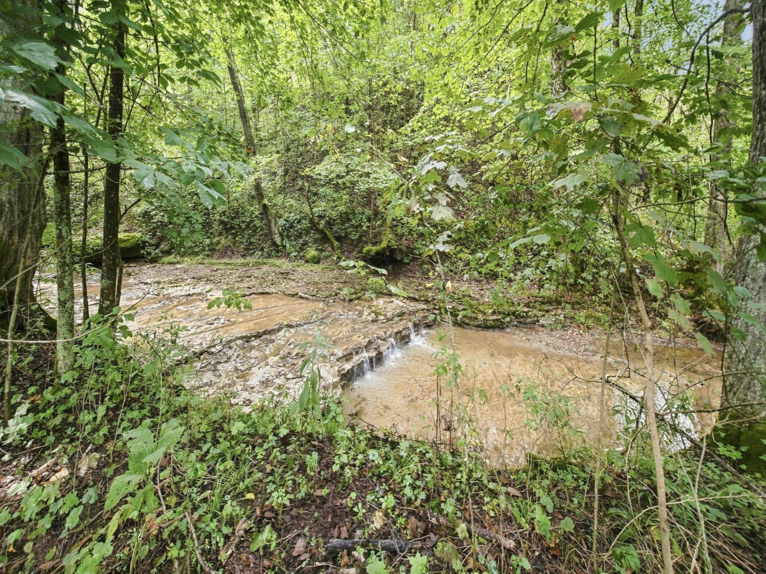 62319 Glencoe Road Property Photo 9
