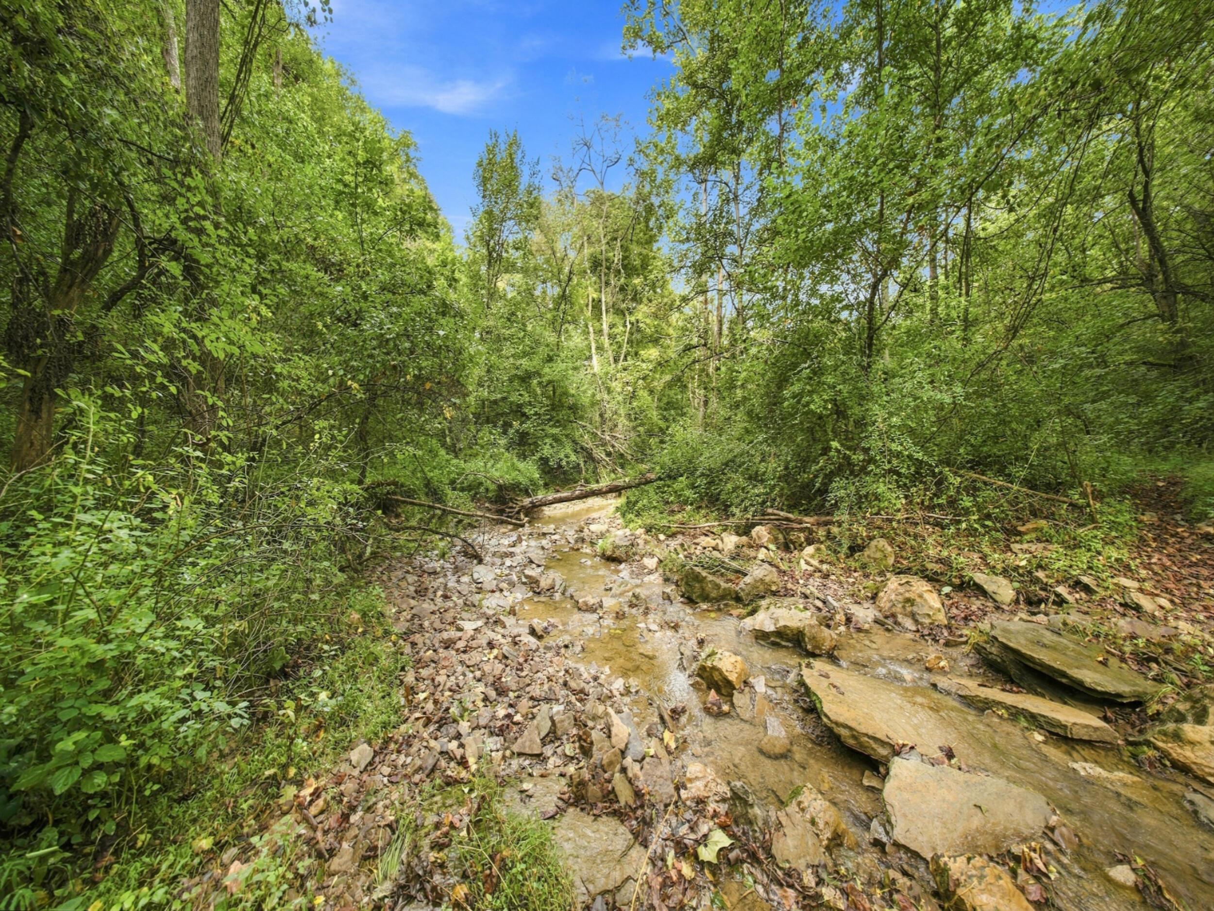 62319 Glencoe Road Property Photo 10