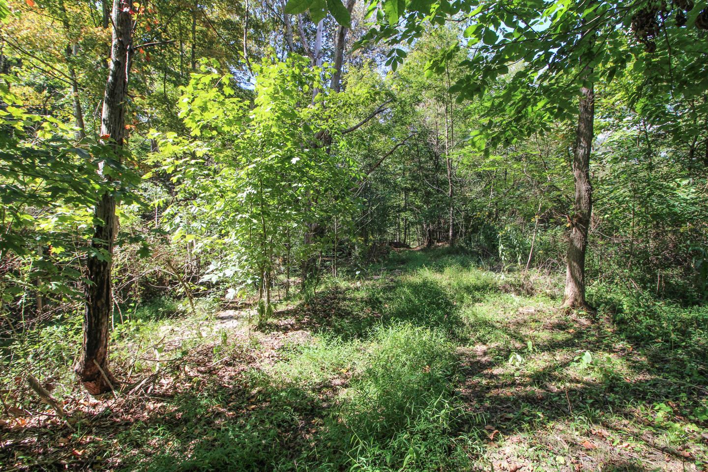 62319 Glencoe Road Property Photo 11