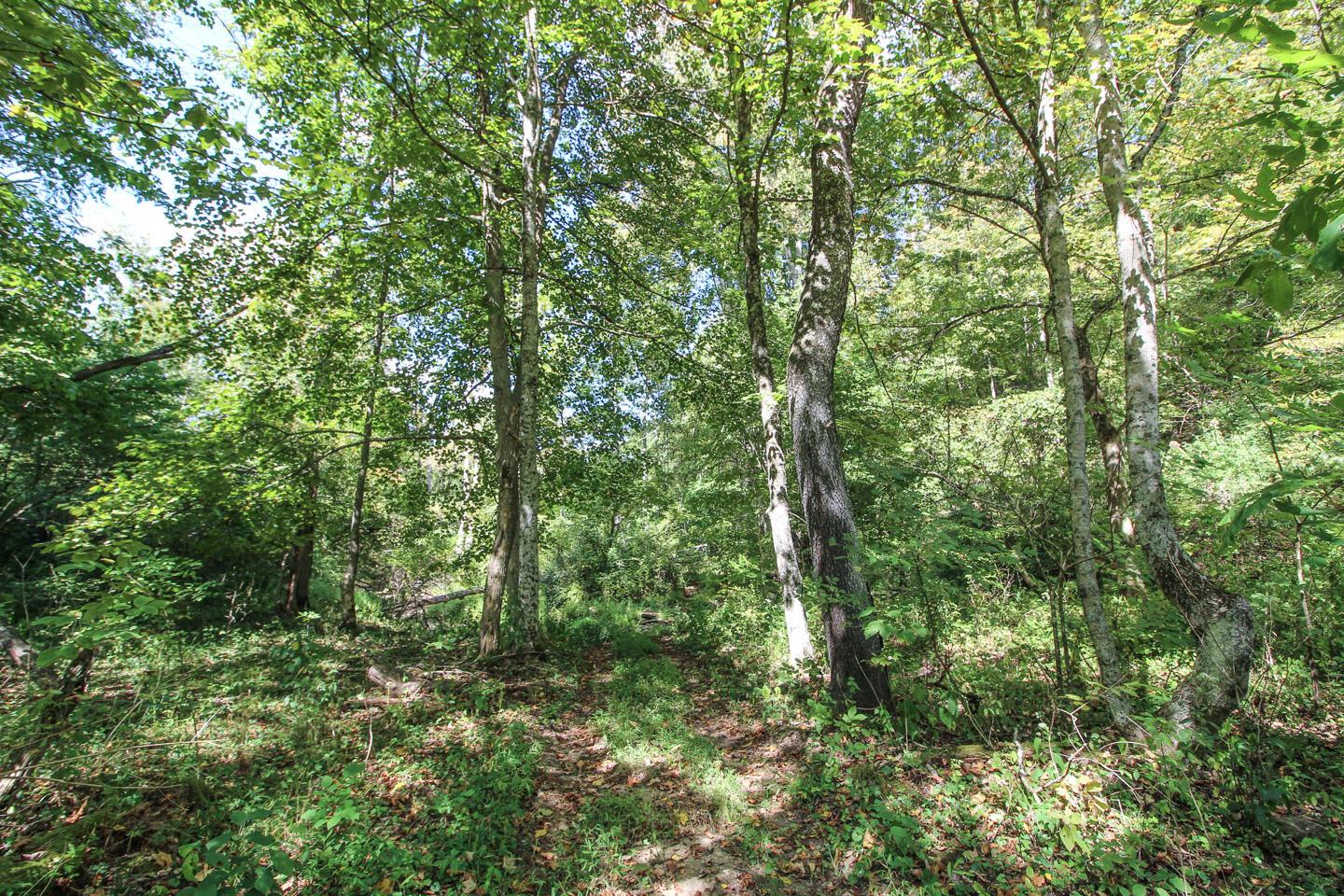 62319 Glencoe Road Property Photo 12