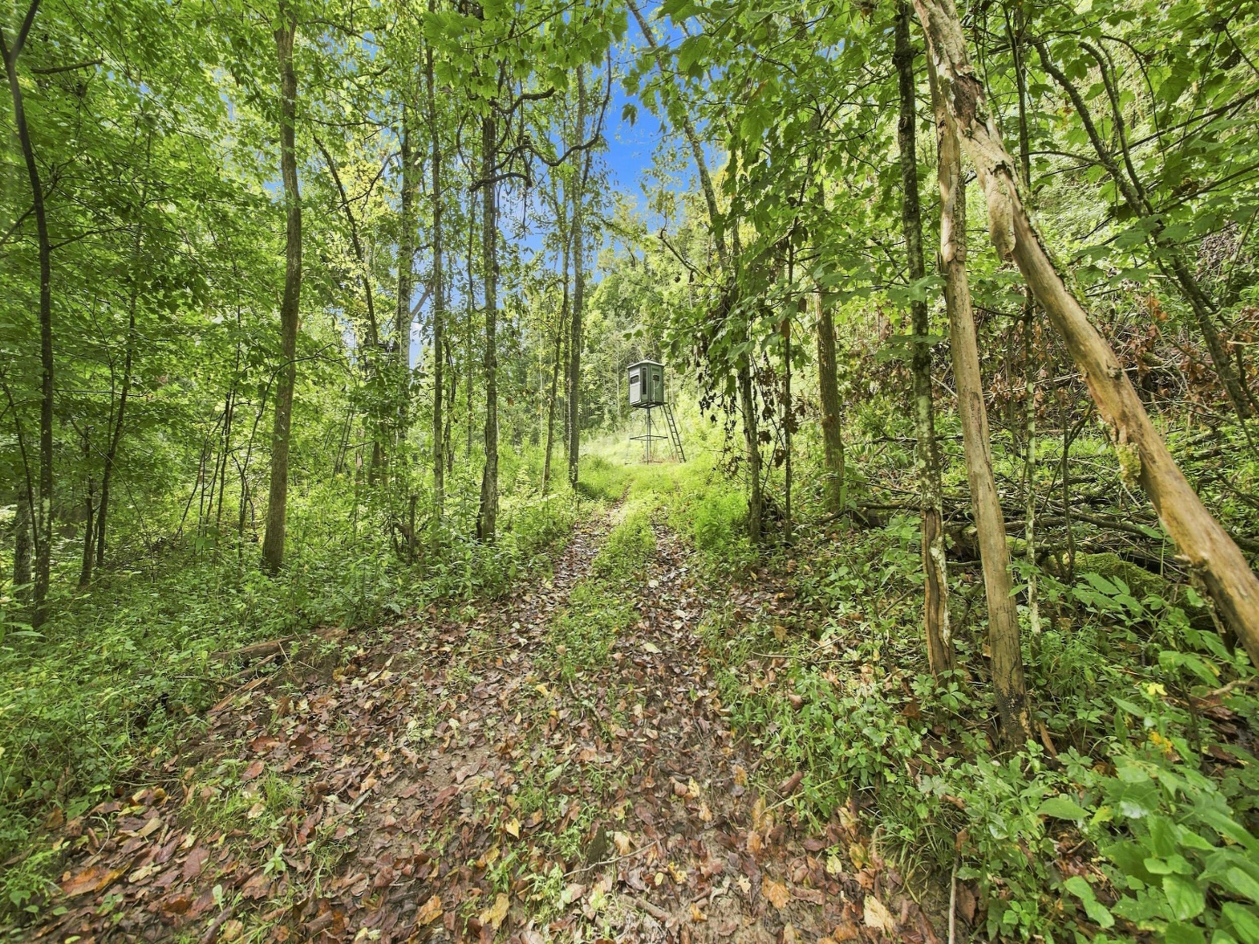 62319 Glencoe Road Property Photo 14