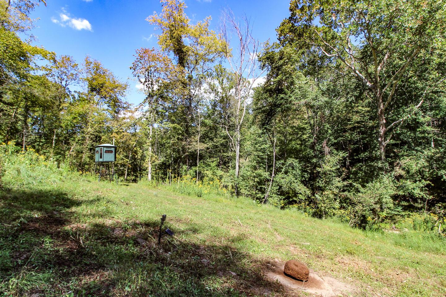 62319 Glencoe Road Property Photo 16