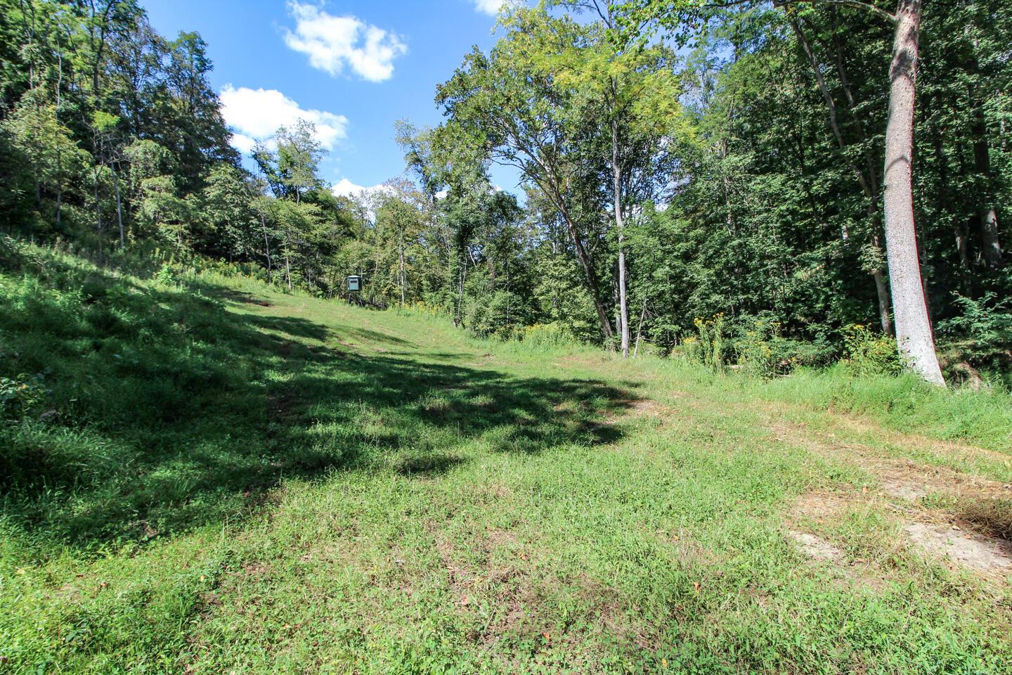 62319 Glencoe Road Property Photo 17