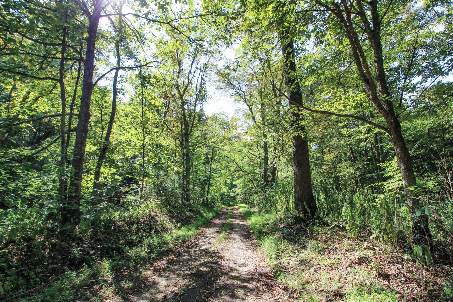 62319 Glencoe Road Property Photo 18