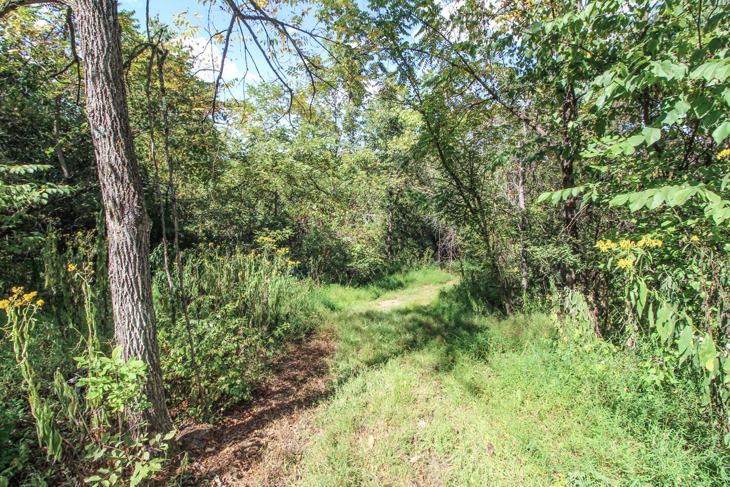 62319 Glencoe Road Property Photo 19