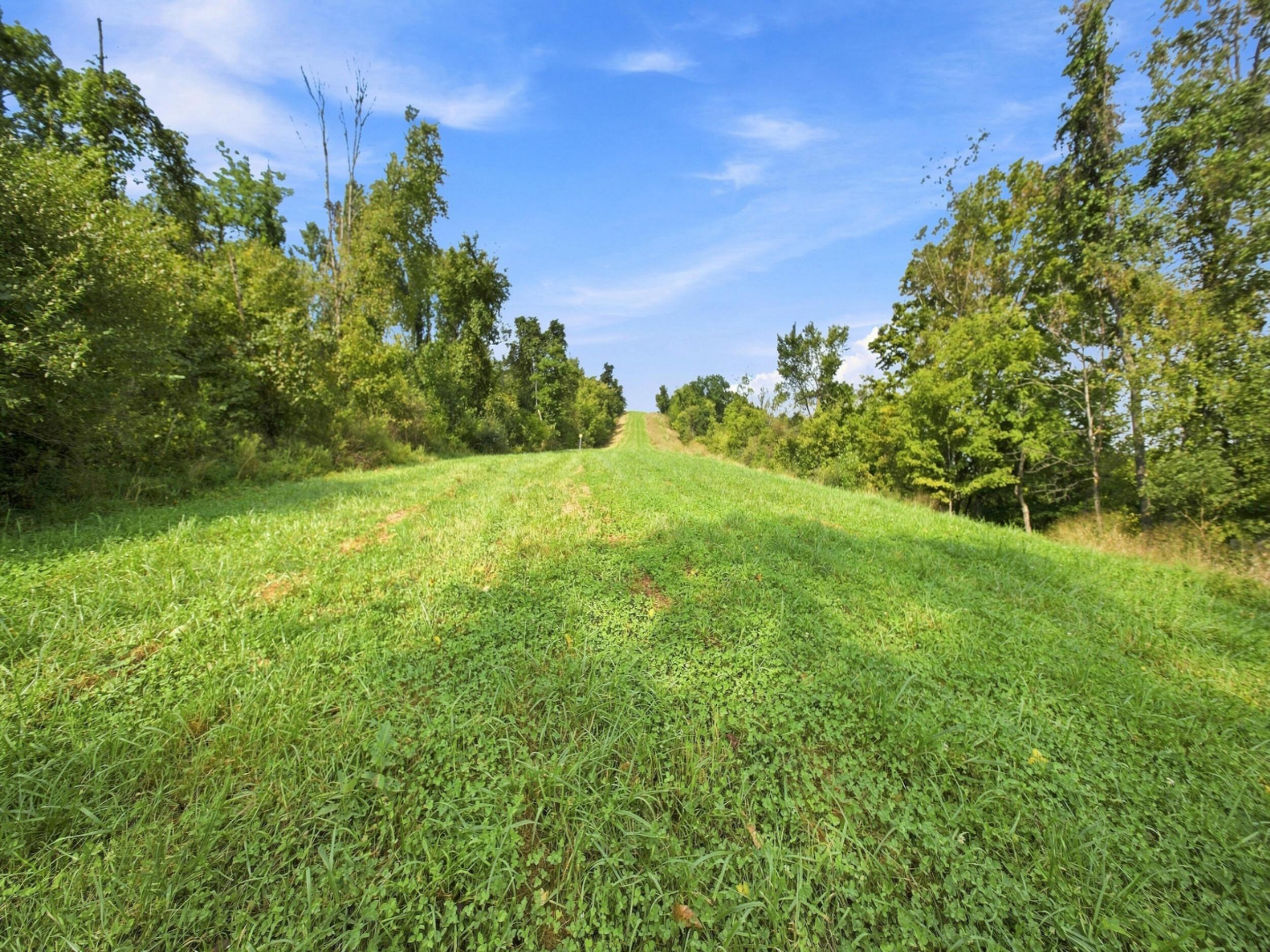 62319 Glencoe Road Property Photo 21