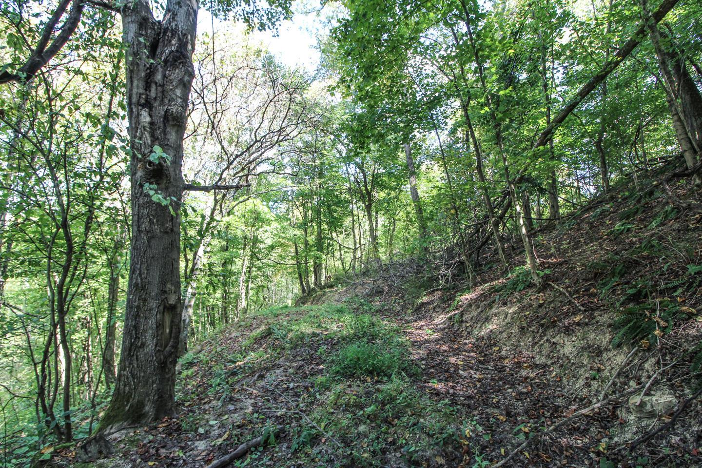 62319 Glencoe Road Property Photo 23