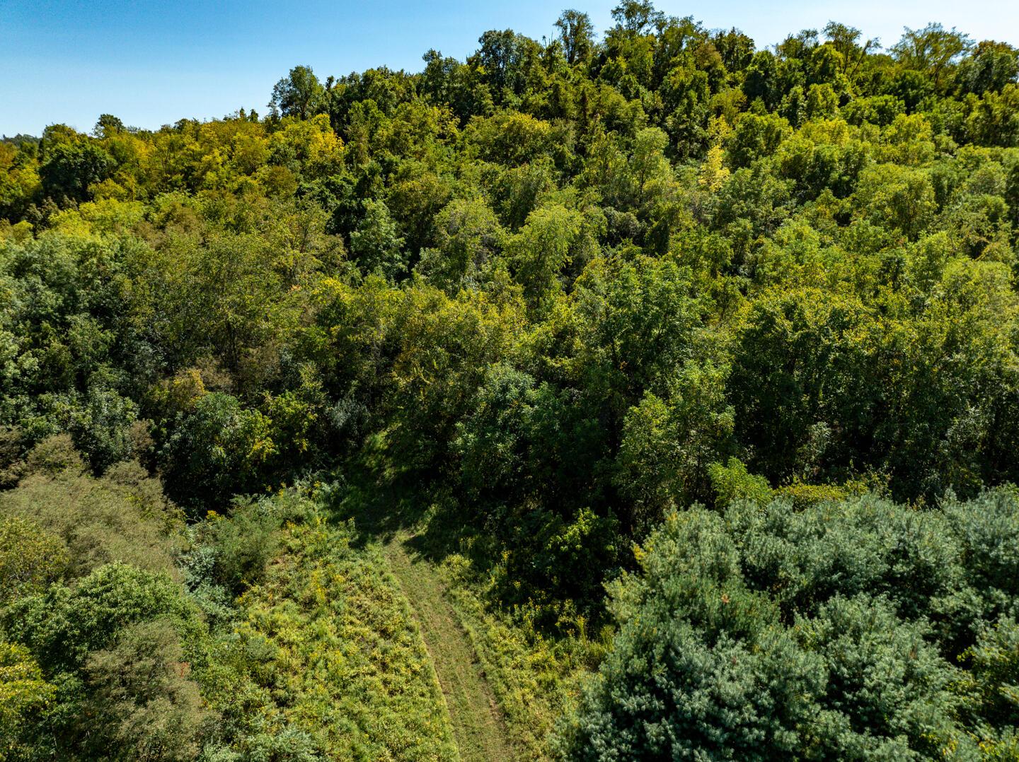 62319 Glencoe Road Property Photo 37