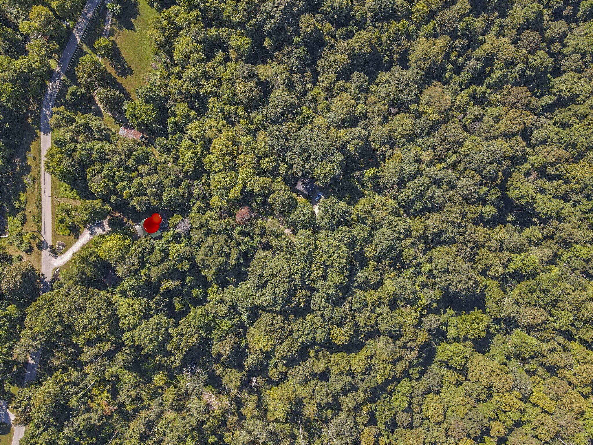 9271 Roley Road Property Photo 43