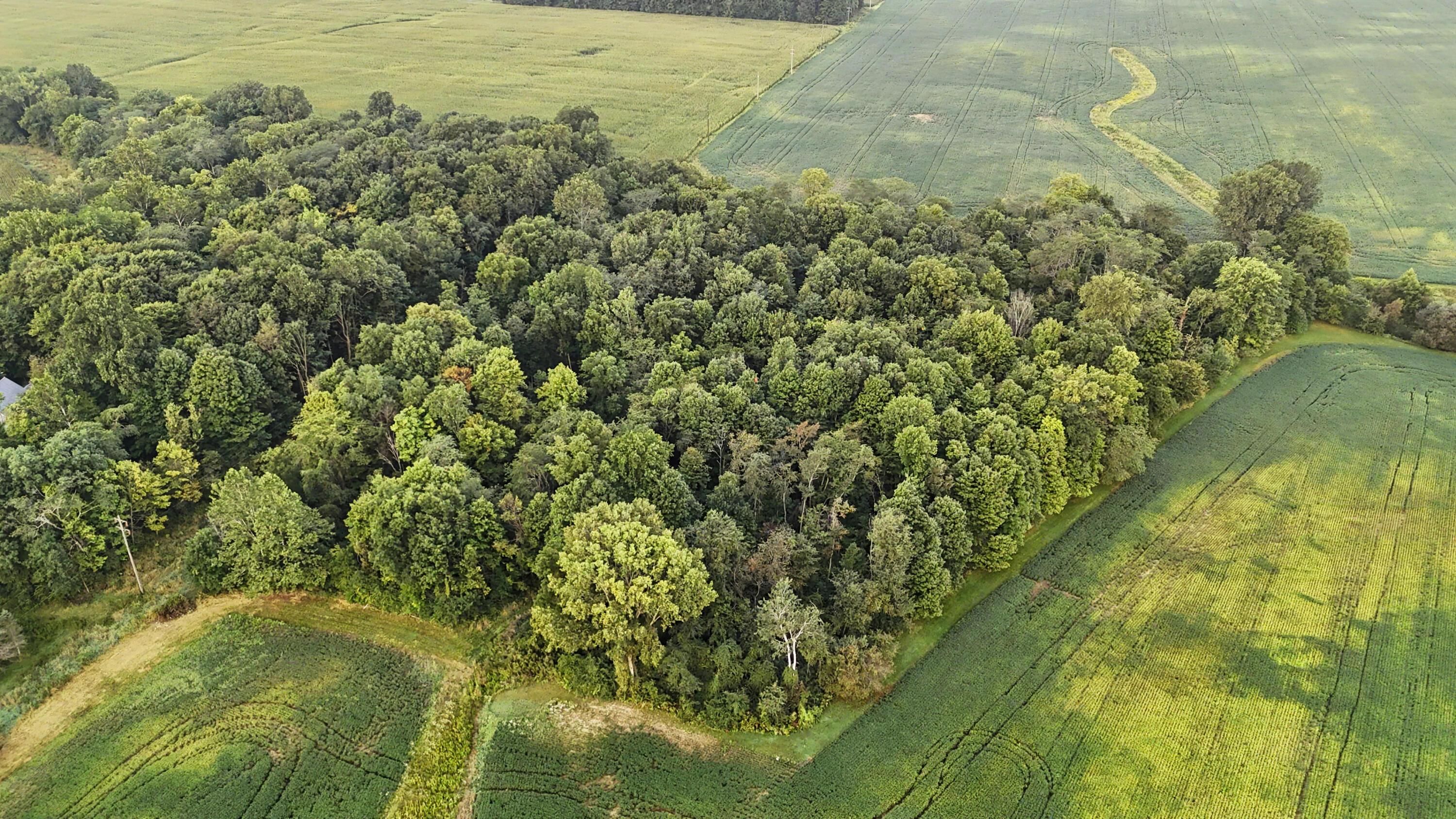 3602 State Route 598 Road Property Photo 3