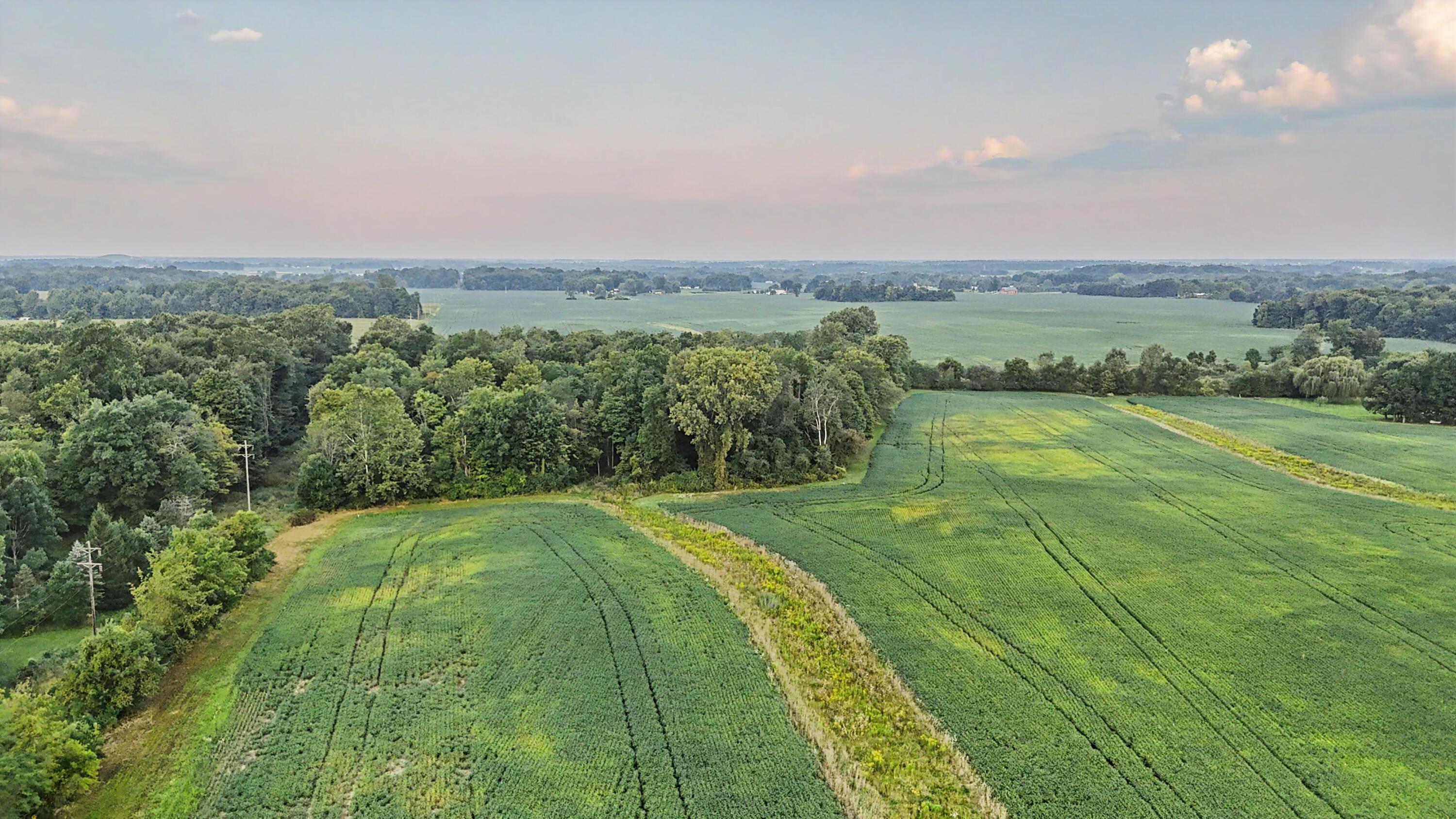 3602 State Route 598 Road Property Photo 4