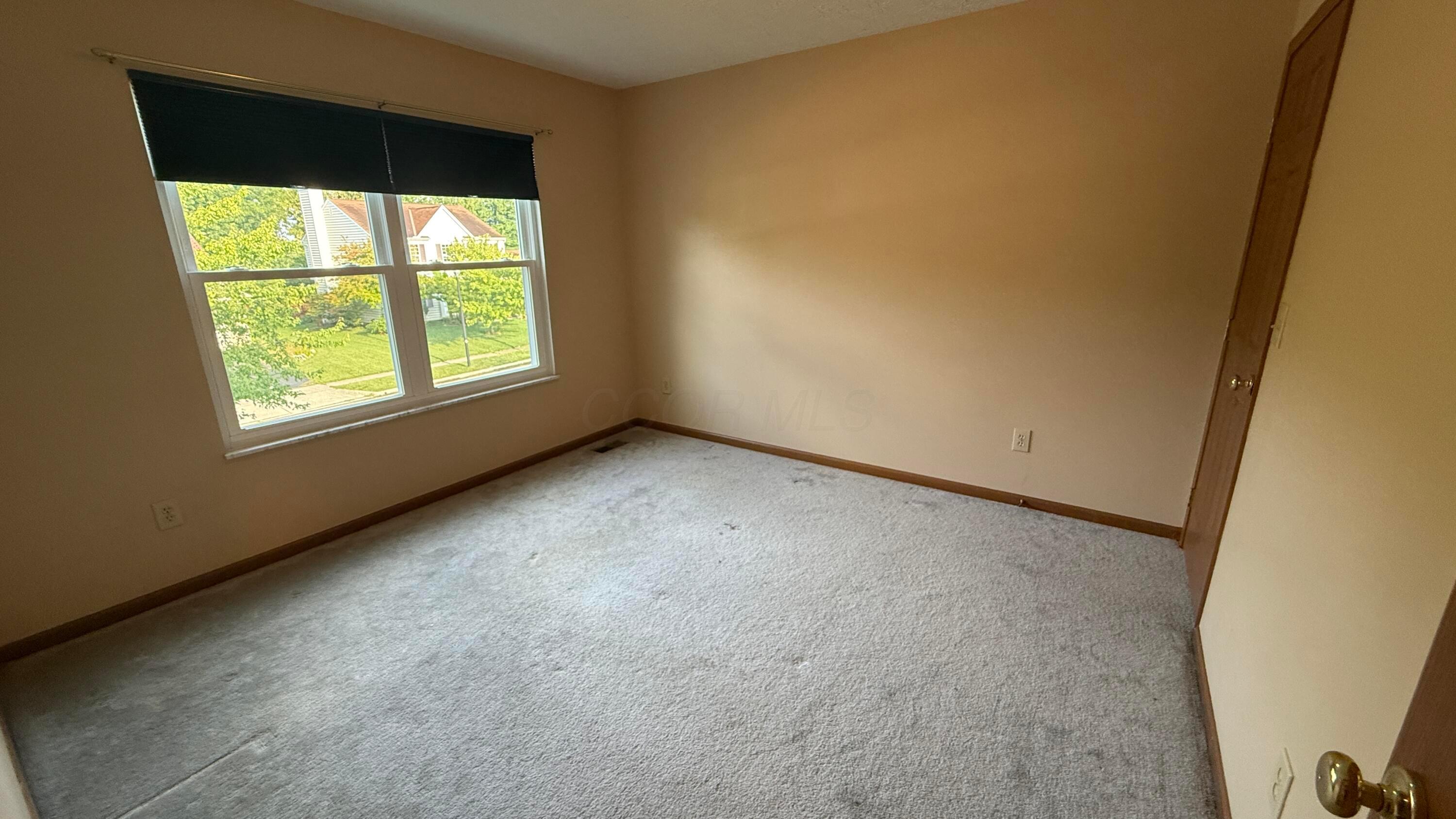 318 Eddington Drive Property Photo 14