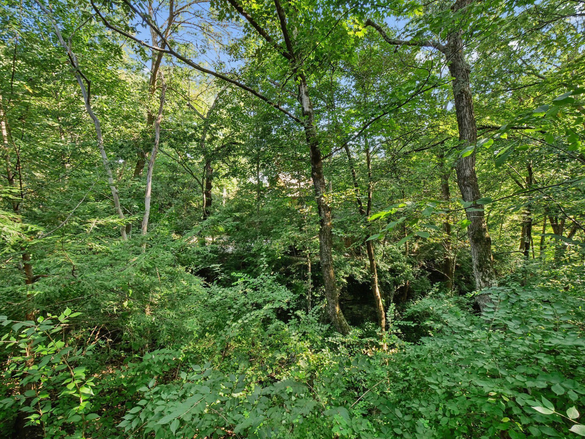 4766 Donegal Cliffs Drive Property Photo 98