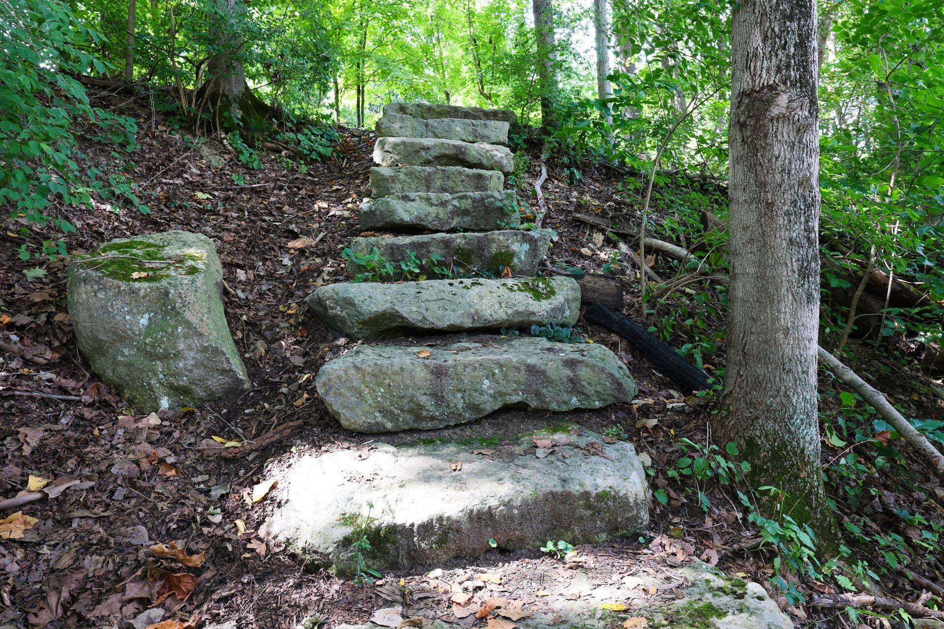 4766 Donegal Cliffs Drive Property Photo 107