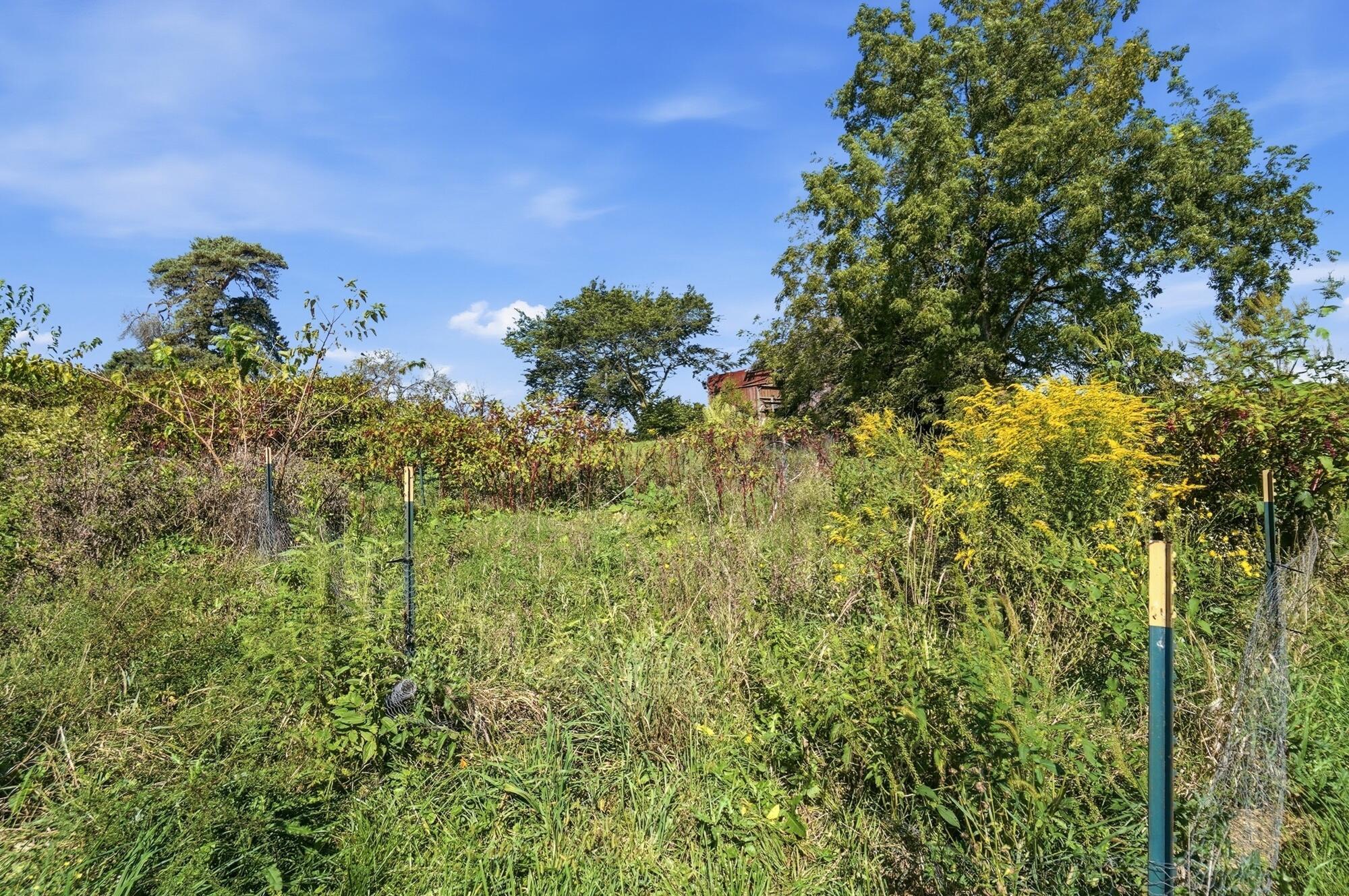 5517 Twp Rd 117 Property Photo 65